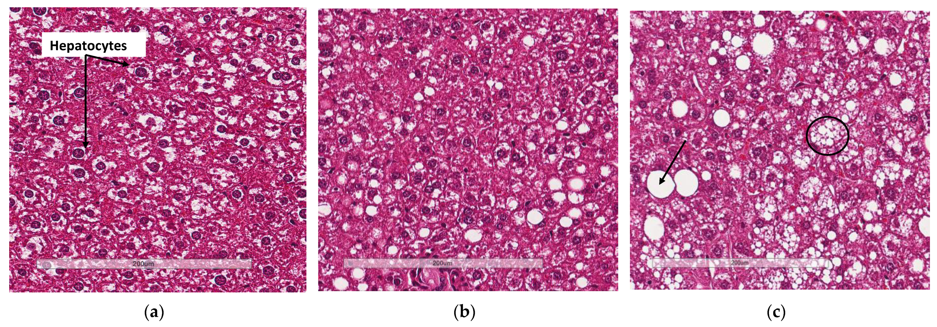 Biology 11 00311 g005