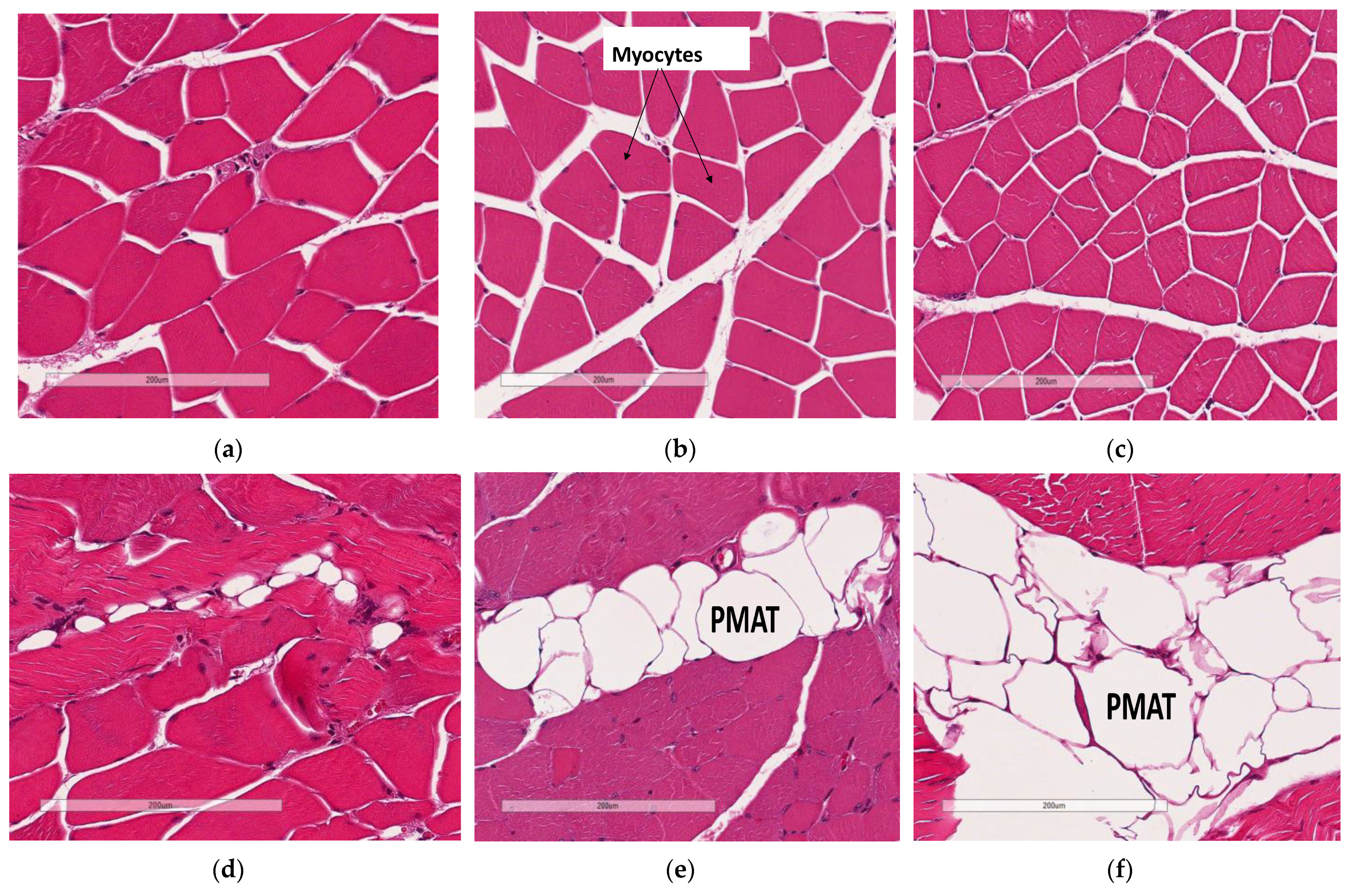 Biology 11 00311 g006a