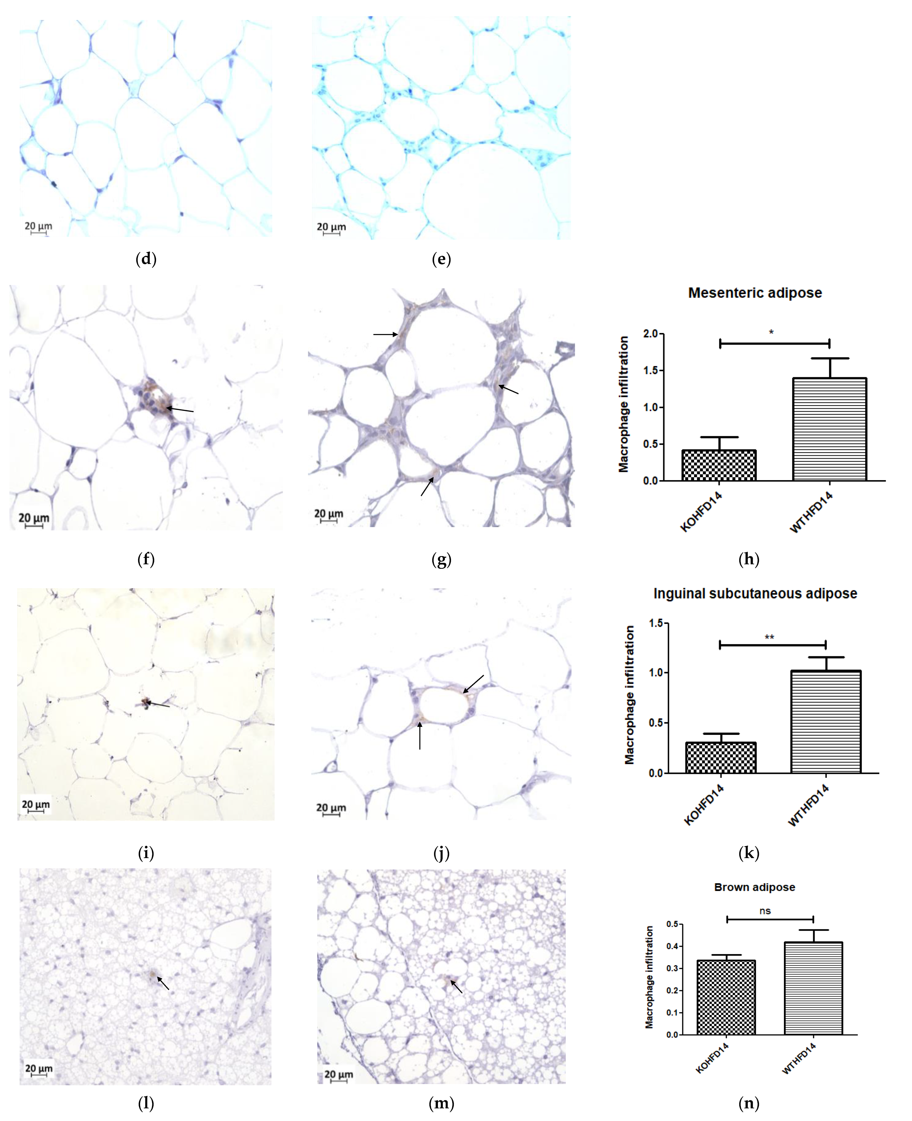 Biology 11 00311 g011b