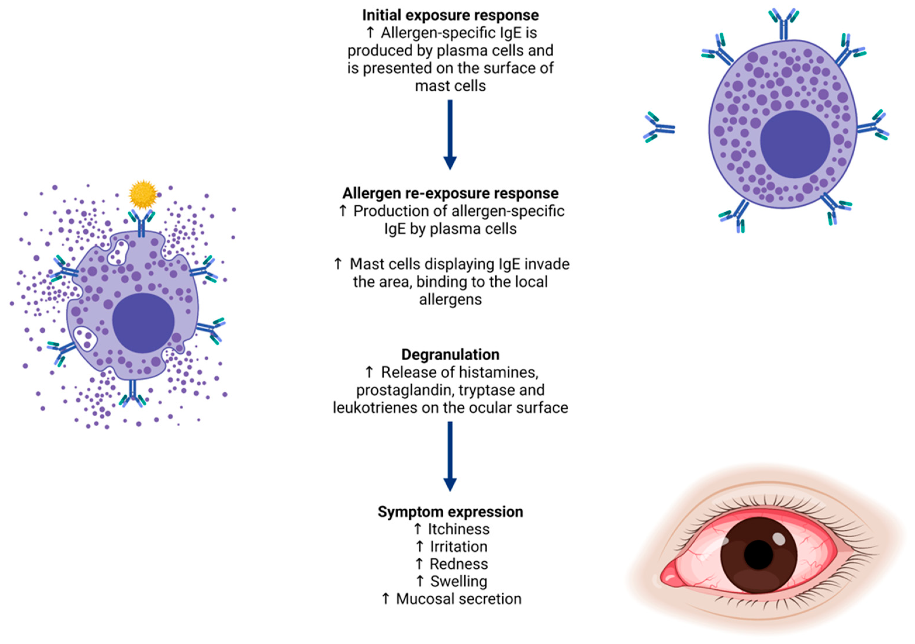 Biology 11 00312 g001