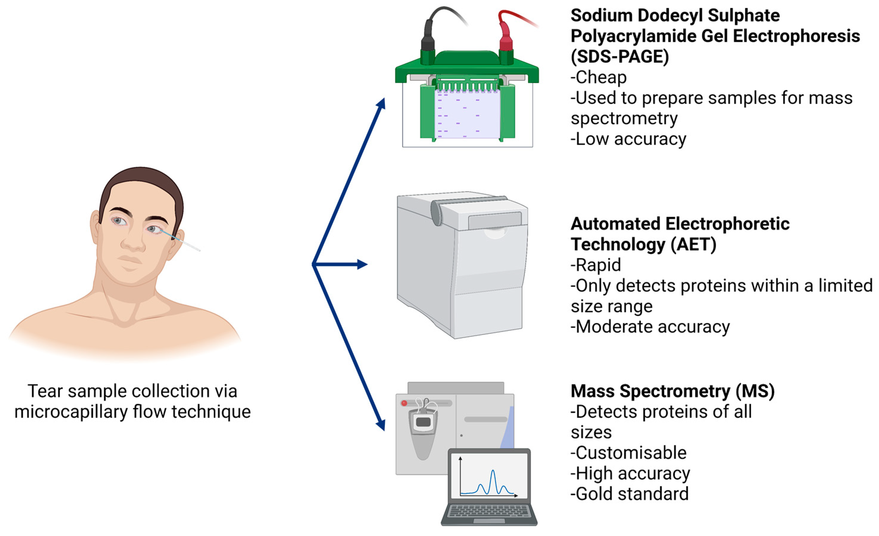 Biology 11 00312 g002