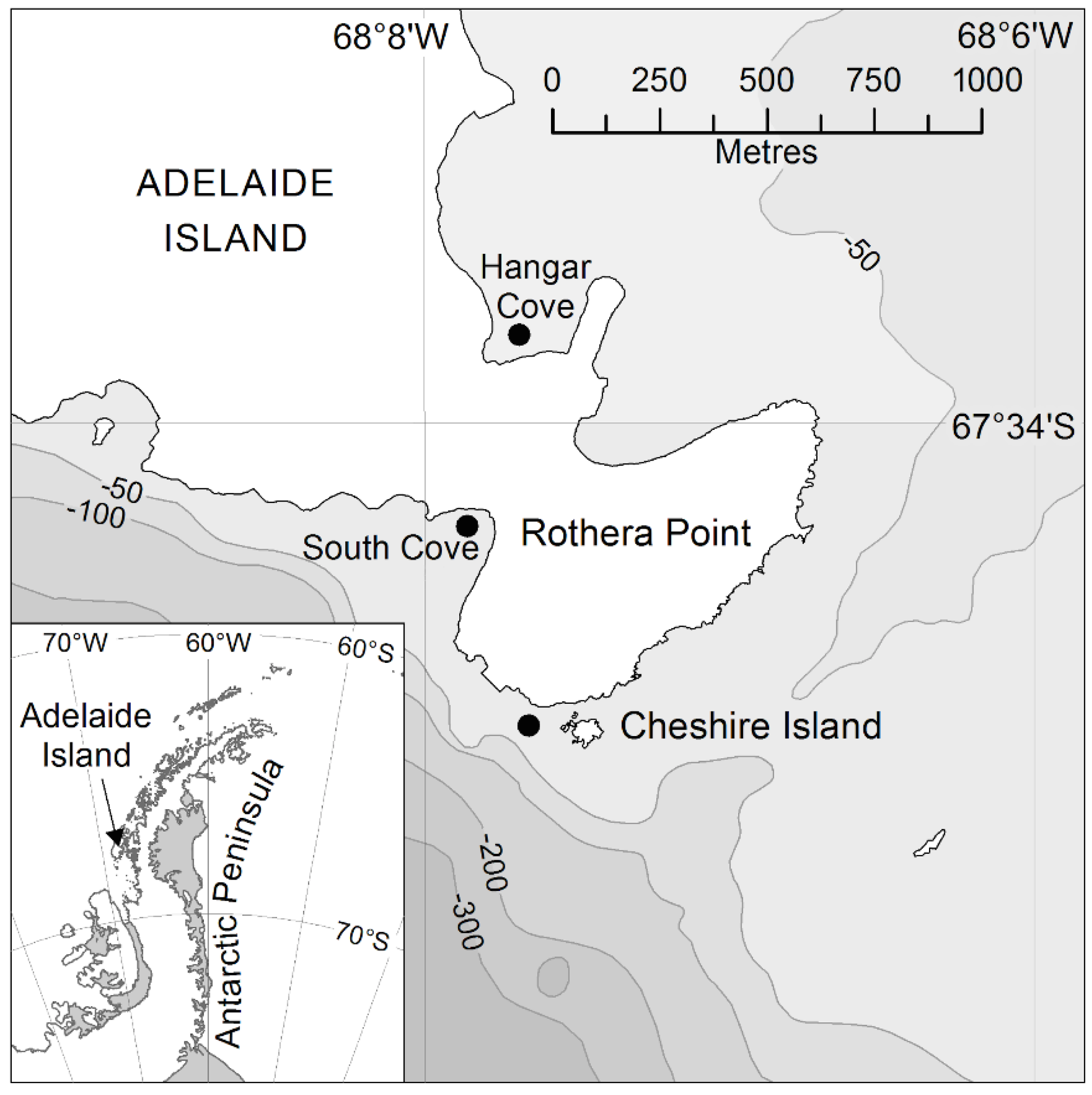 Biology 11 00320 g001