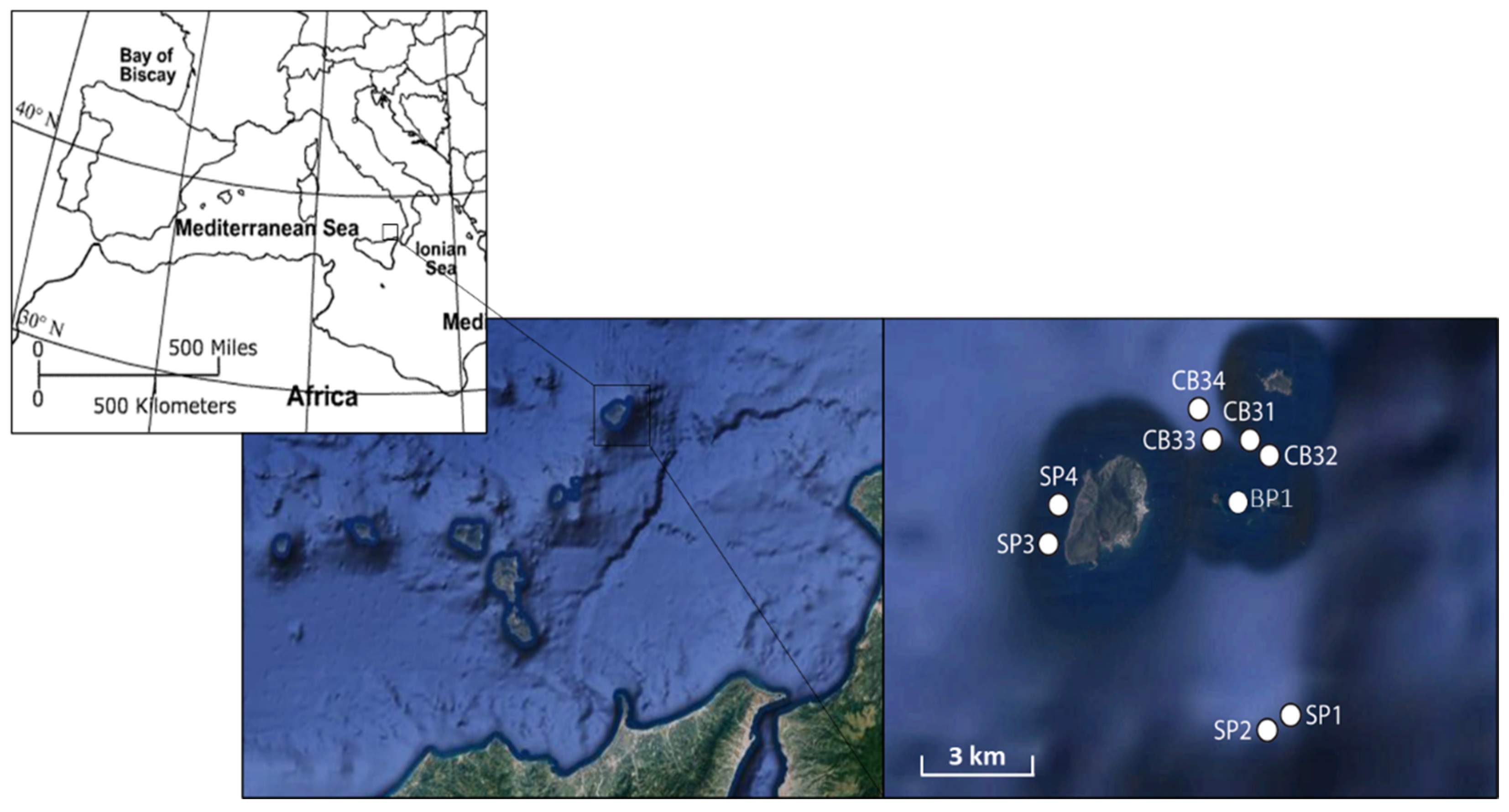 Biology 11 00321 g001