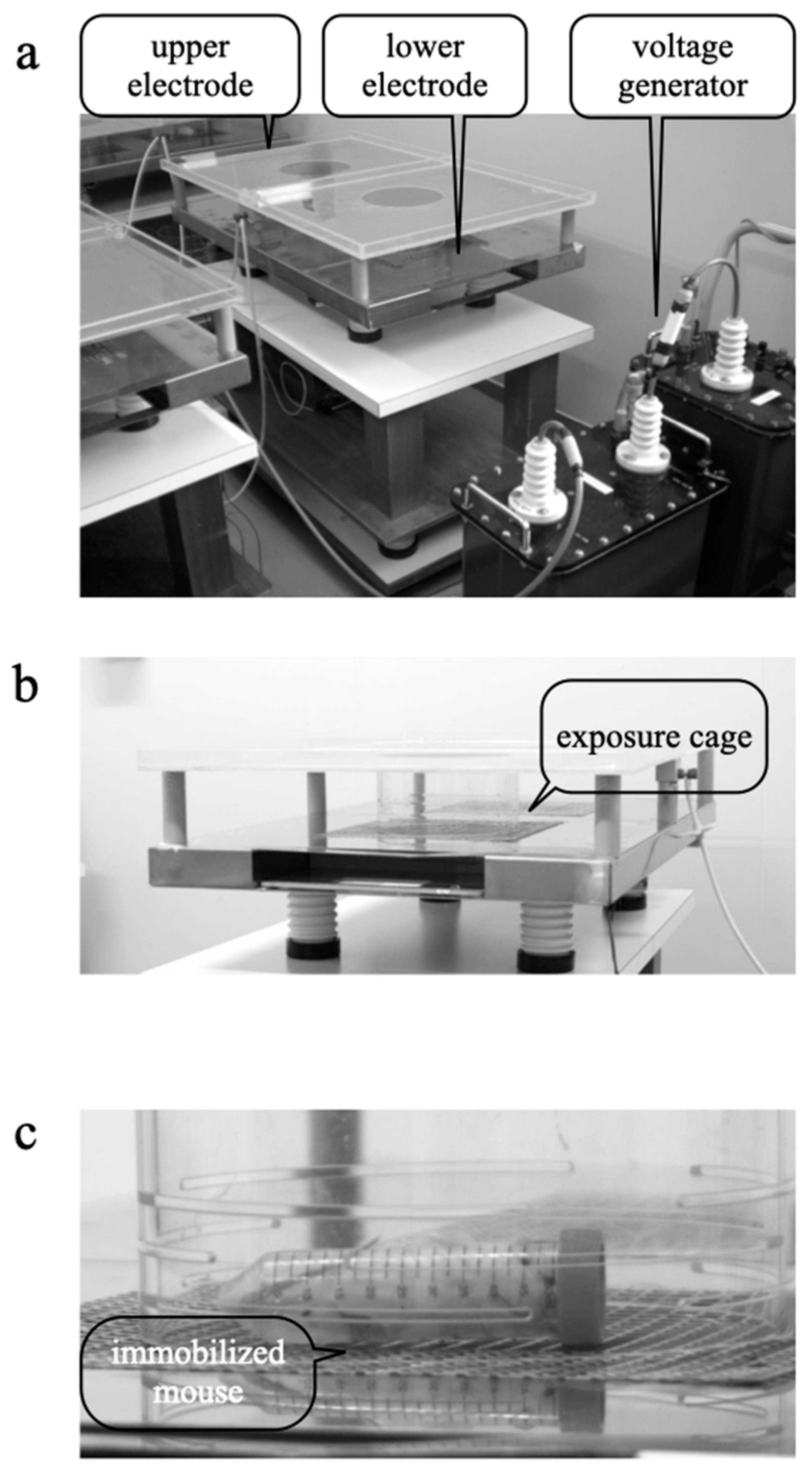 Biology 11 00323 g001
