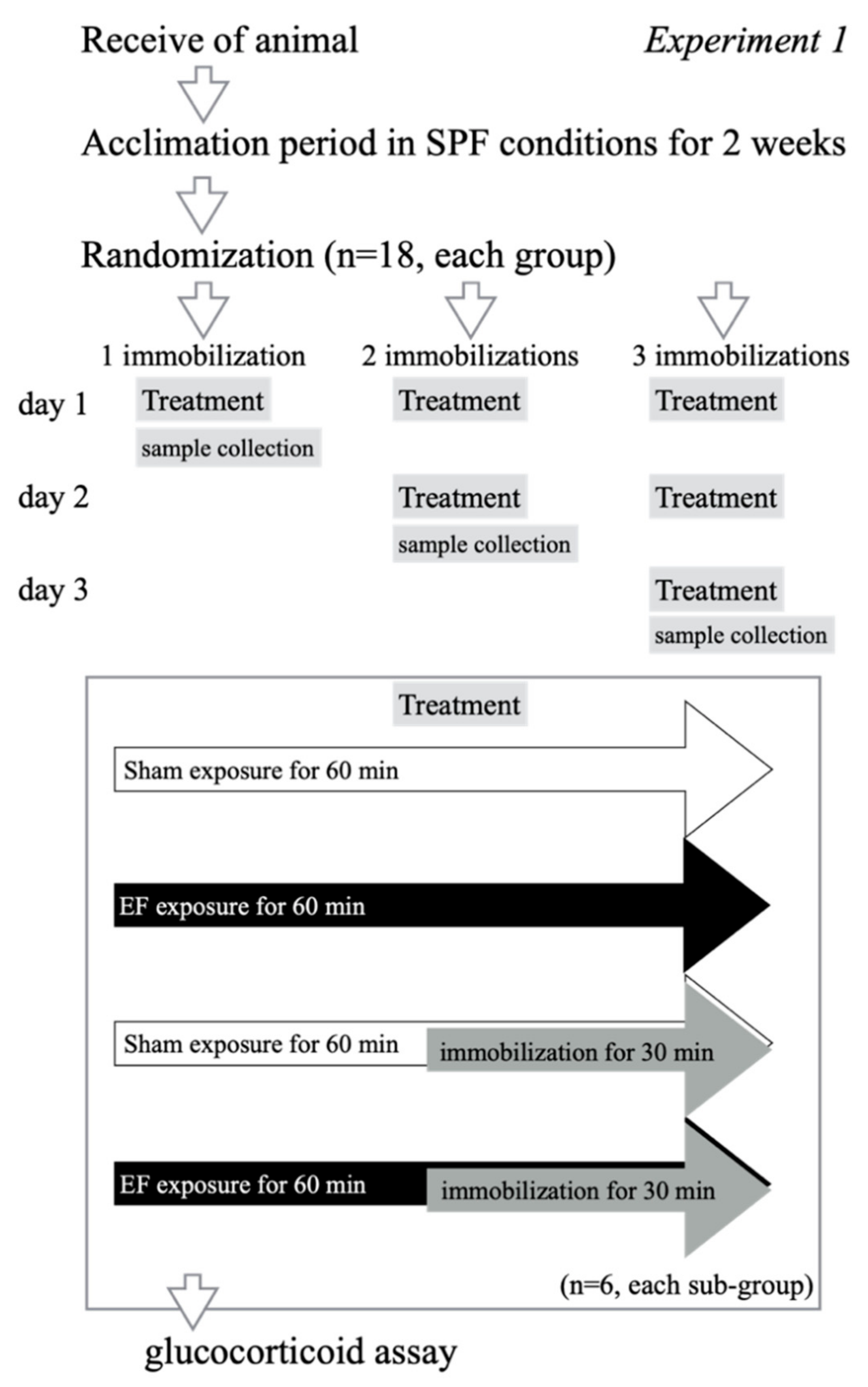 Biology 11 00323 g002