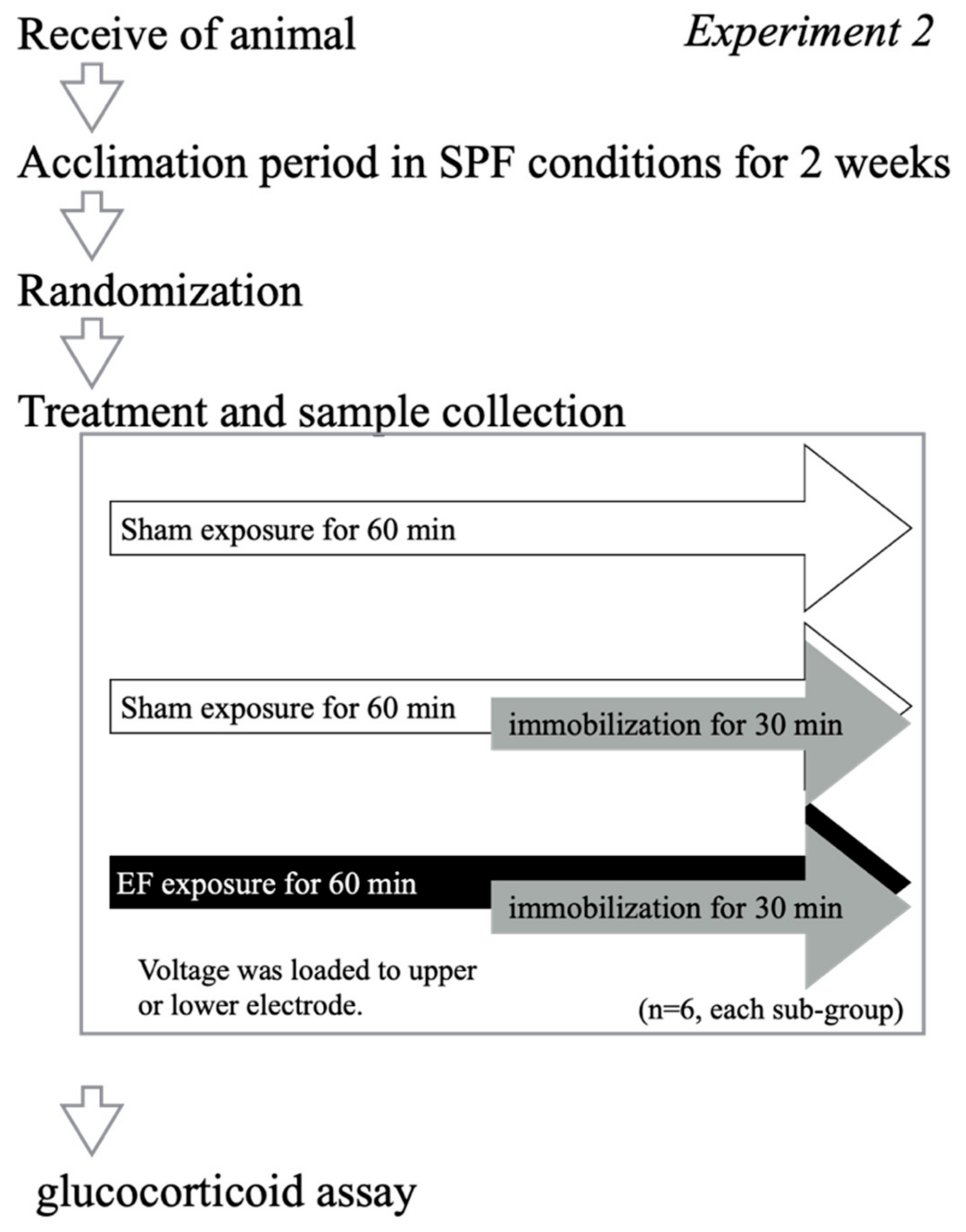Biology 11 00323 g003