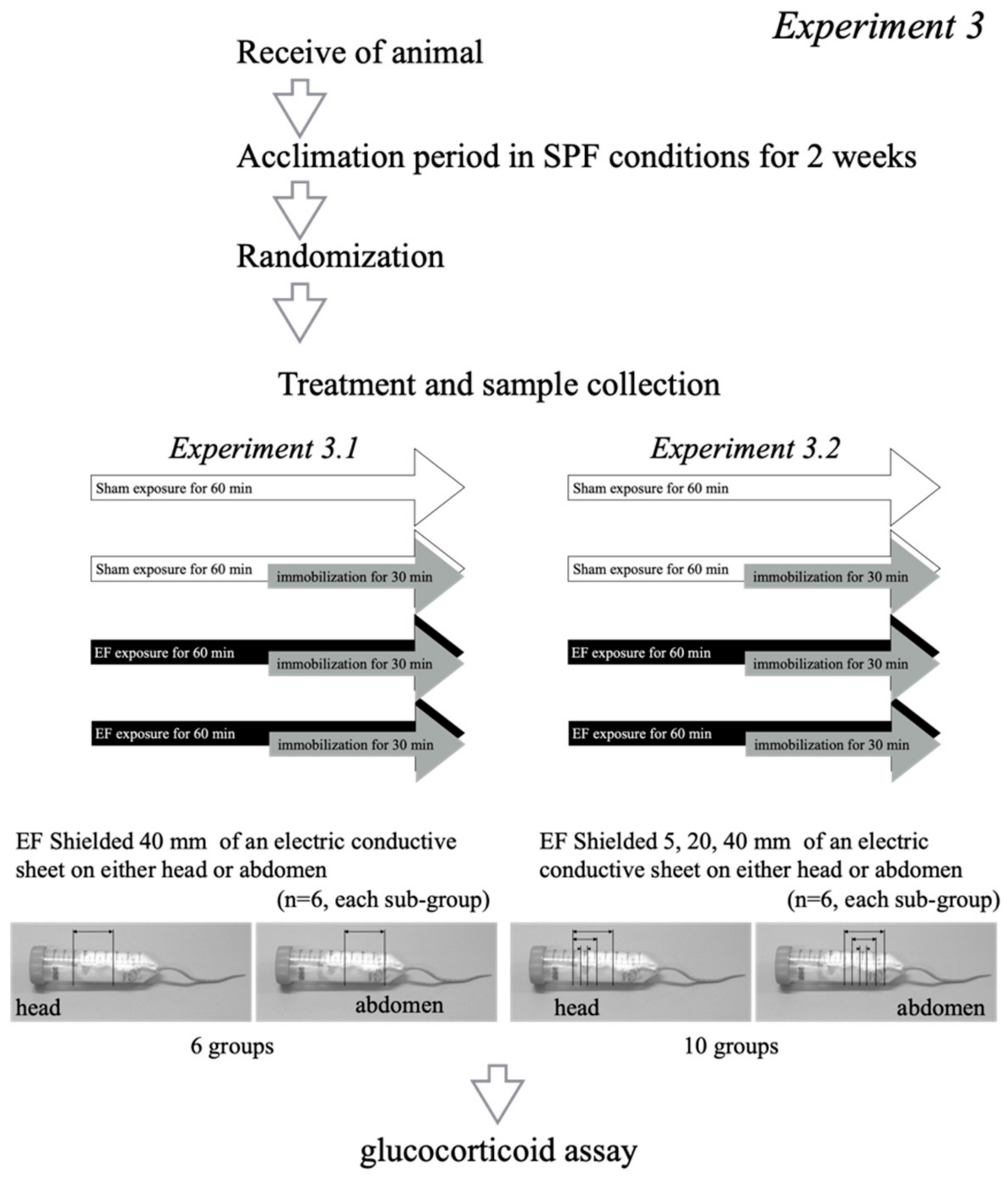 Biology 11 00323 g004