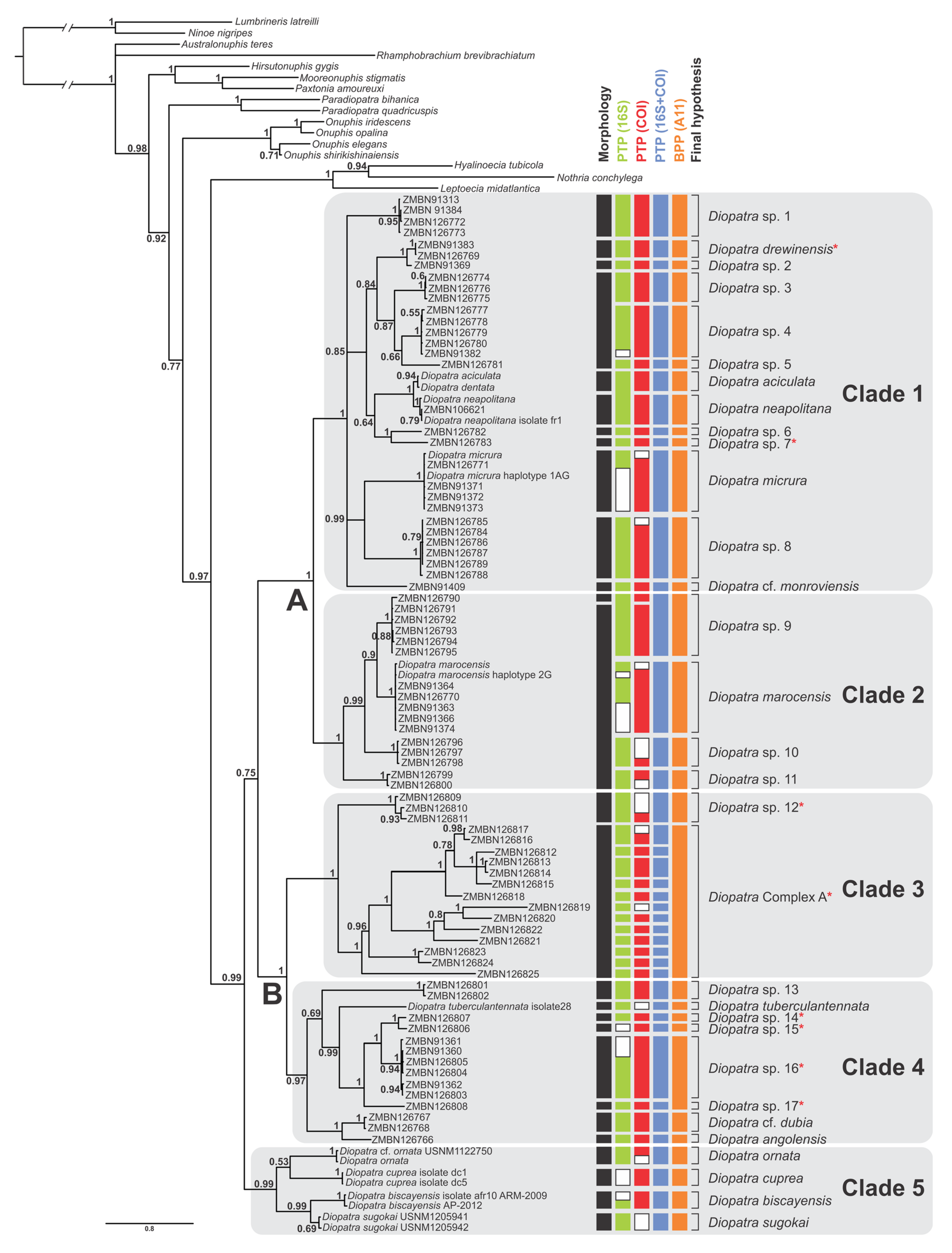 Biology 11 00327 g001
