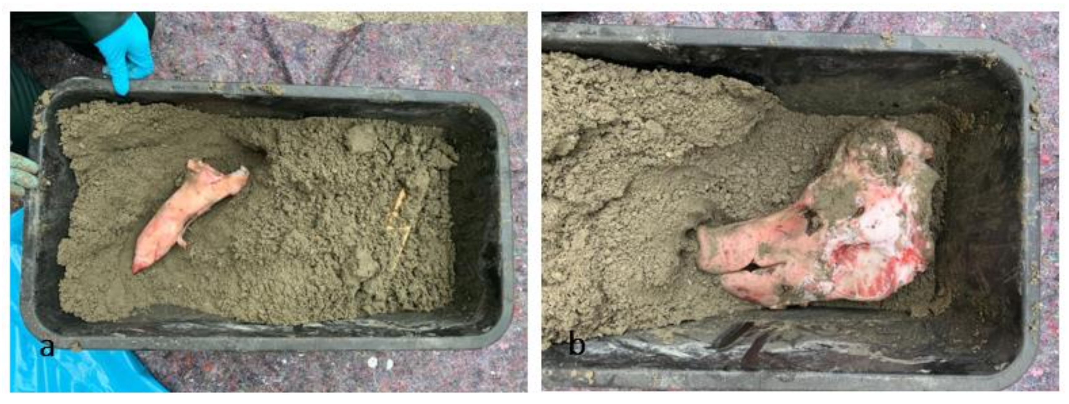 Biology 11 00328 g002