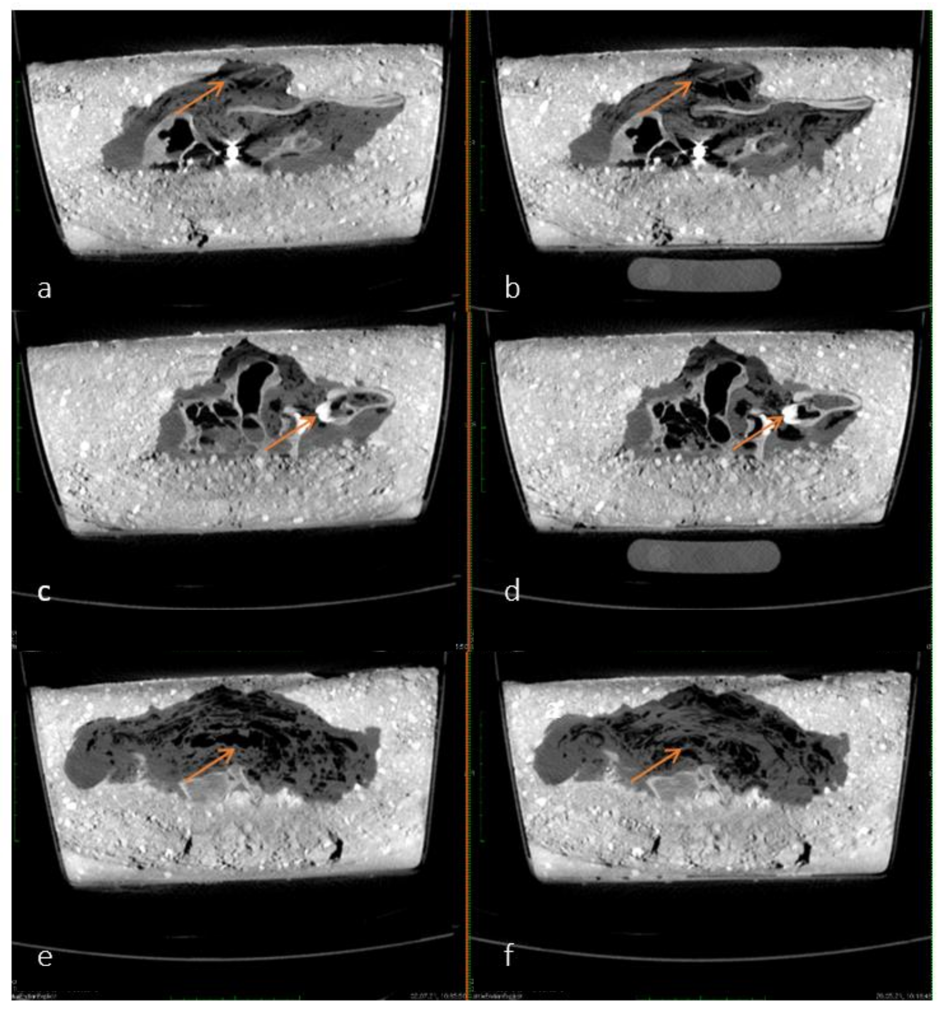 Biology 11 00328 g003