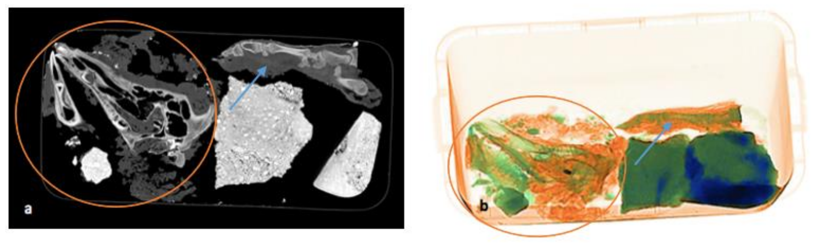 Biology 11 00328 g007