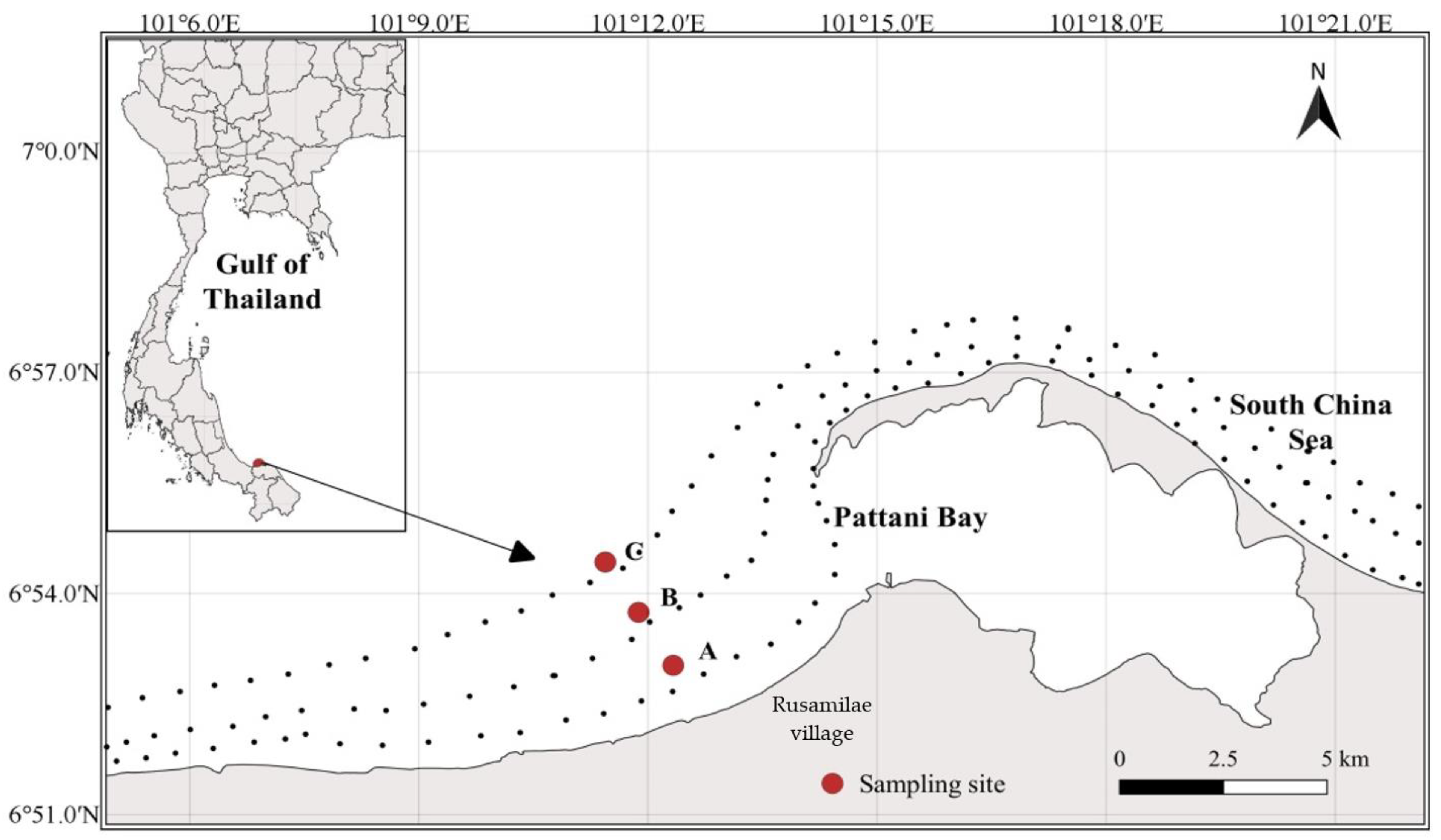 Biology 11 00331 g001