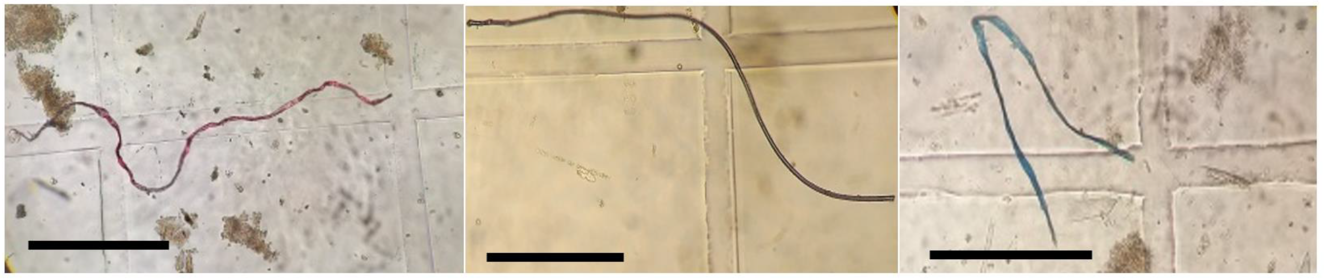 Biology 11 00331 g003