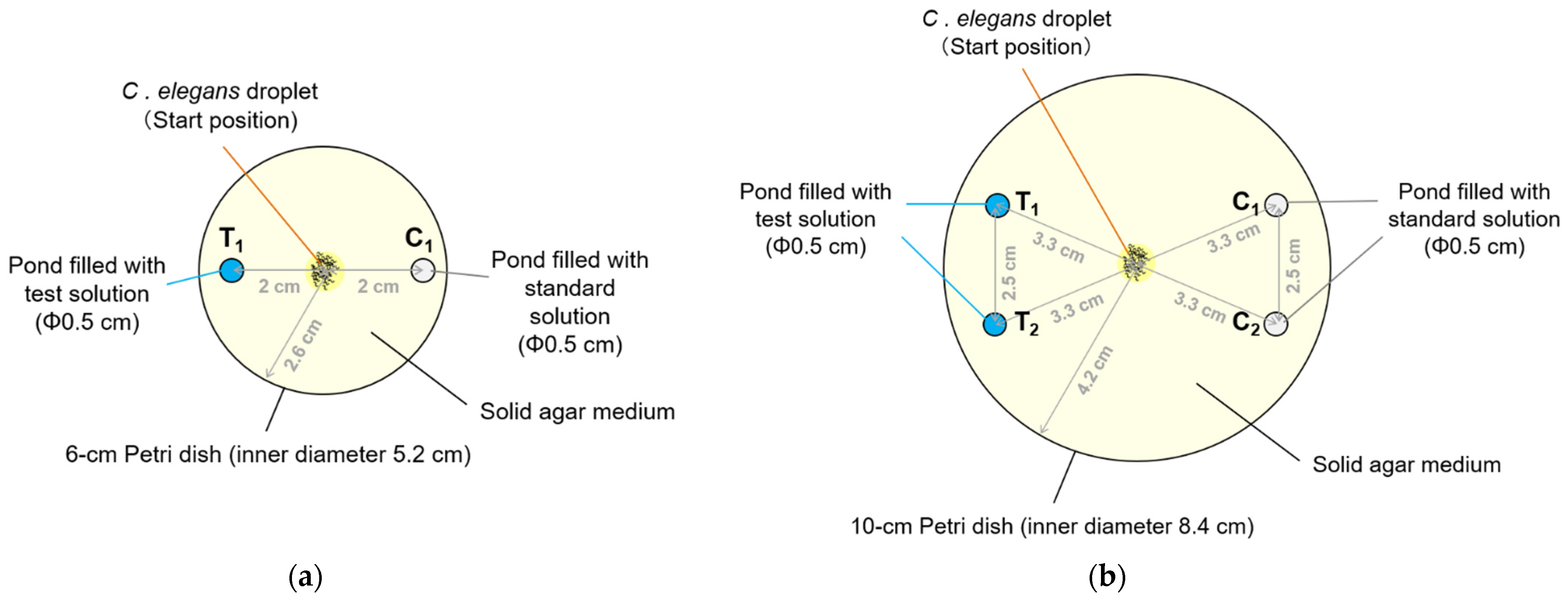 Biology 11 00335 g001