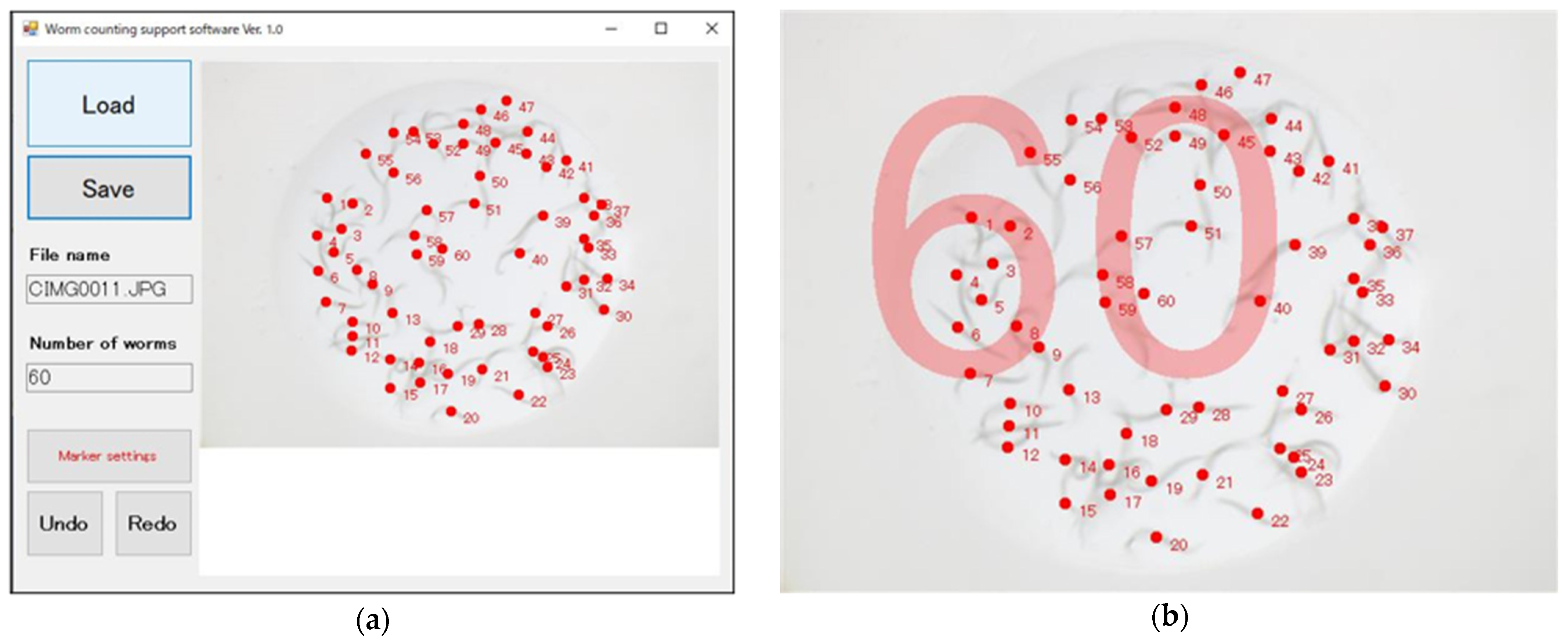 Biology 11 00335 g003