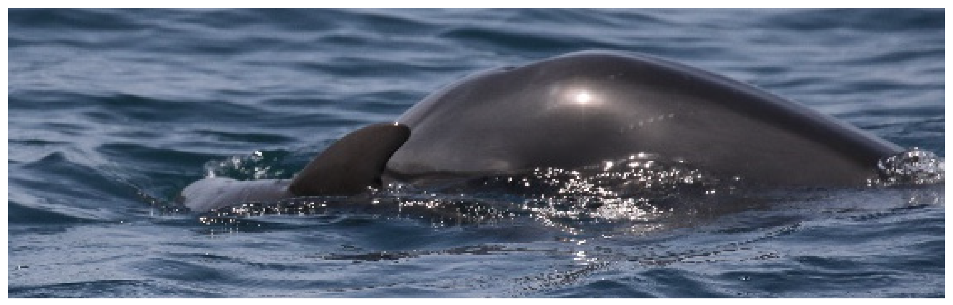 Biology 11 00337 g003