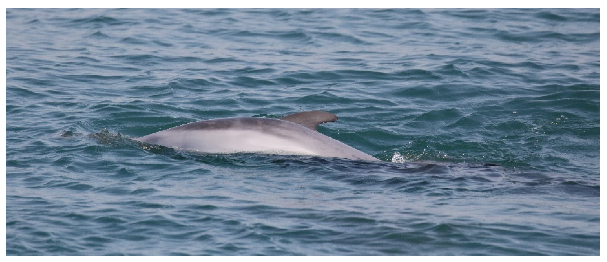 Biology 11 00337 g007