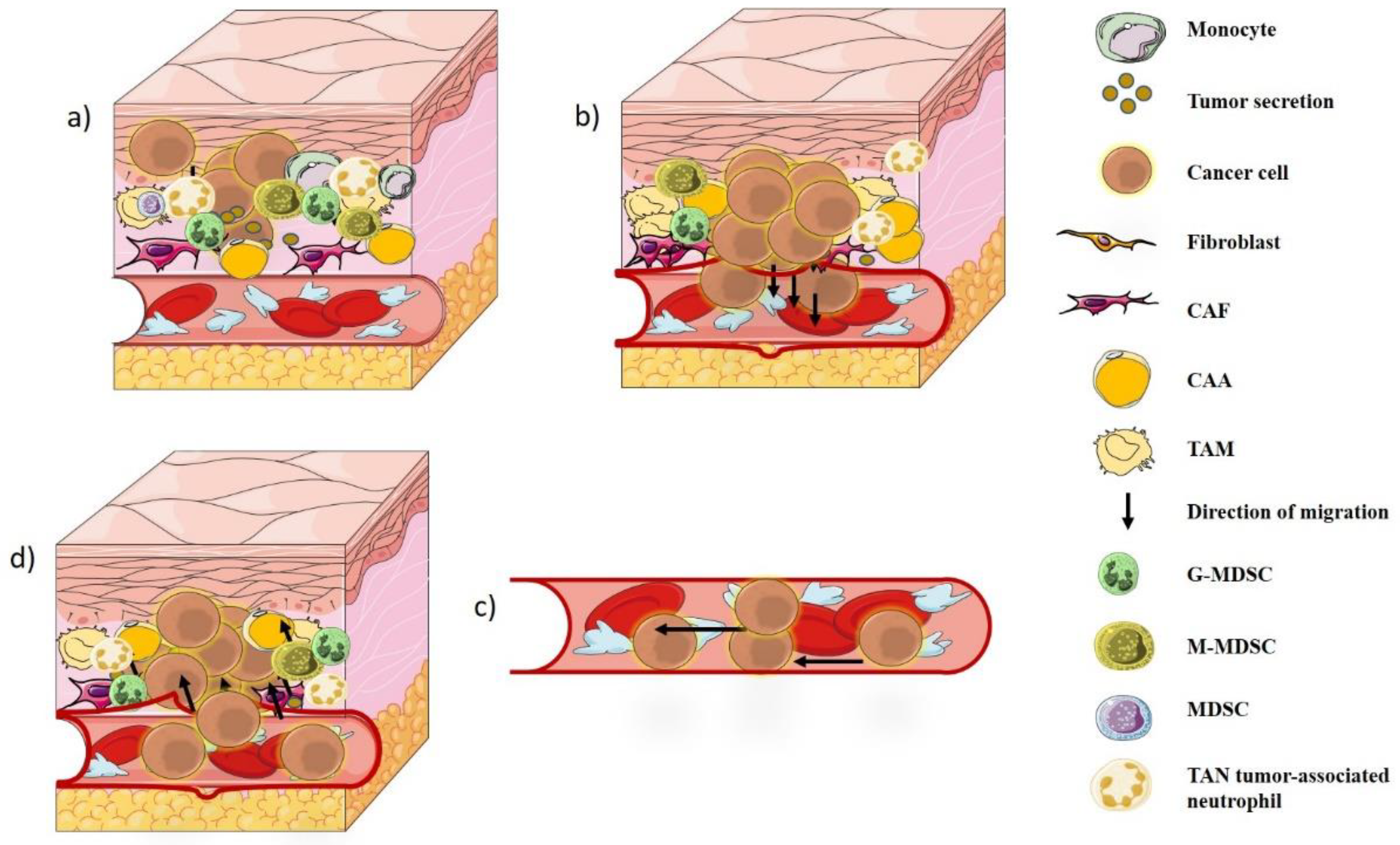Biology 11 00339 g001
