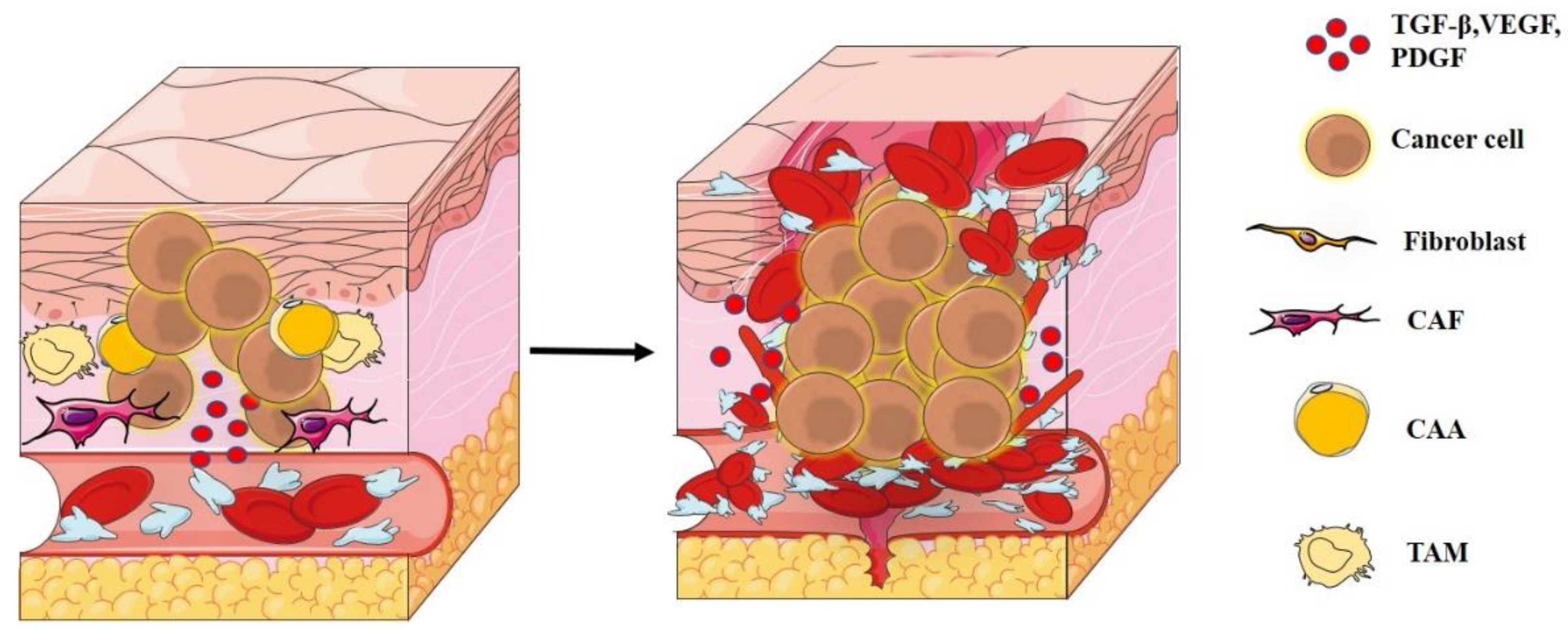Biology 11 00339 g004