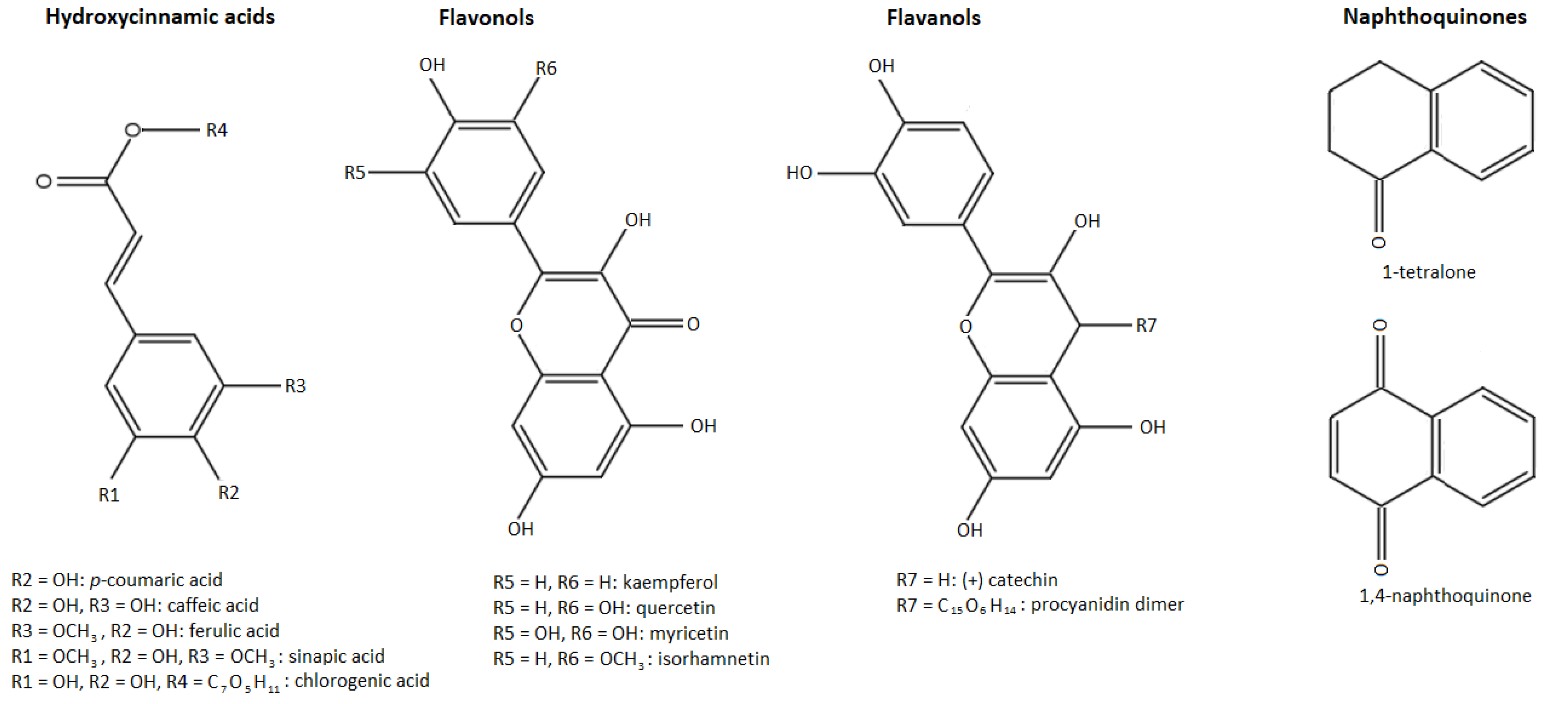 Biology 11 00342 g001