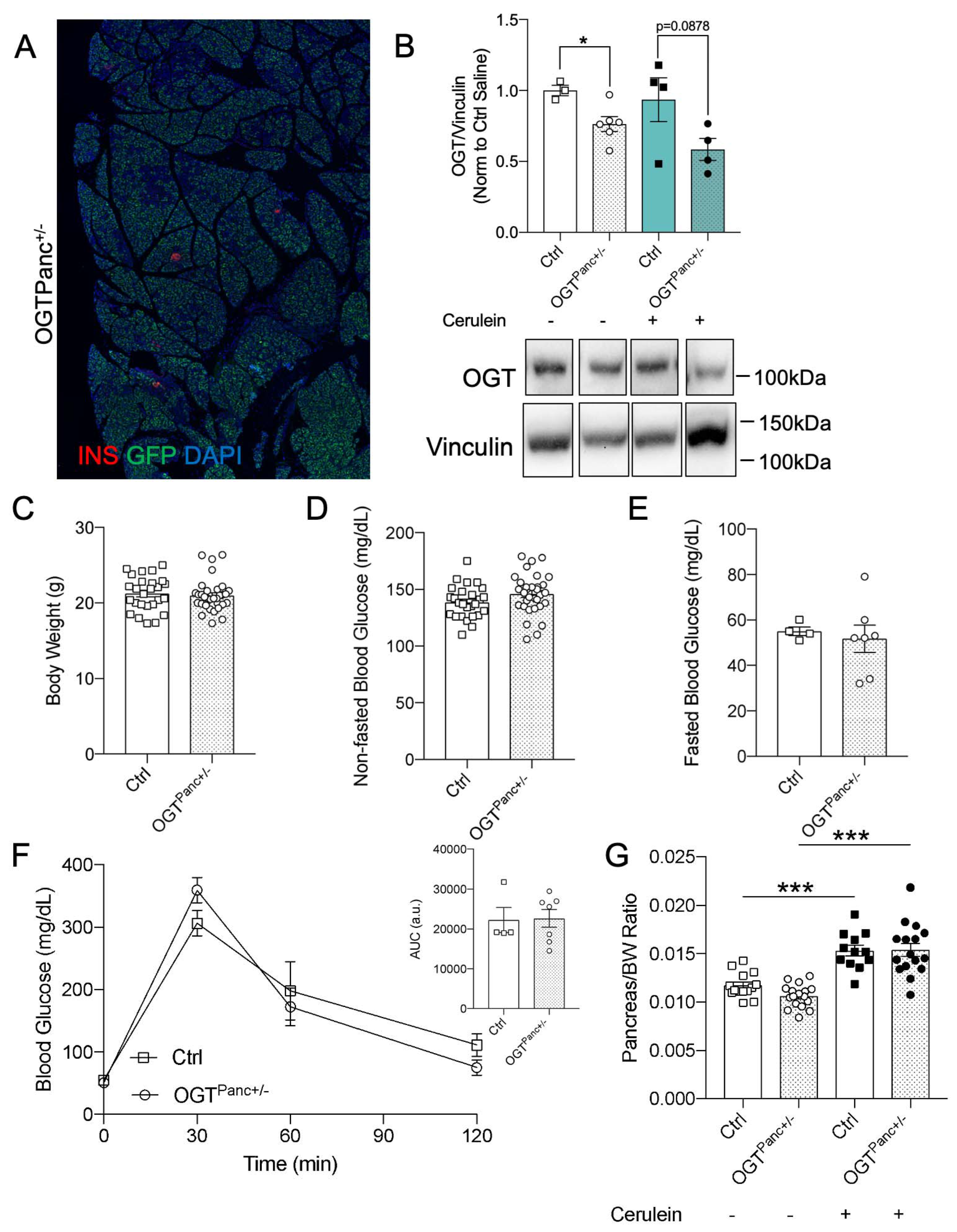 Biology 11 00347 g001