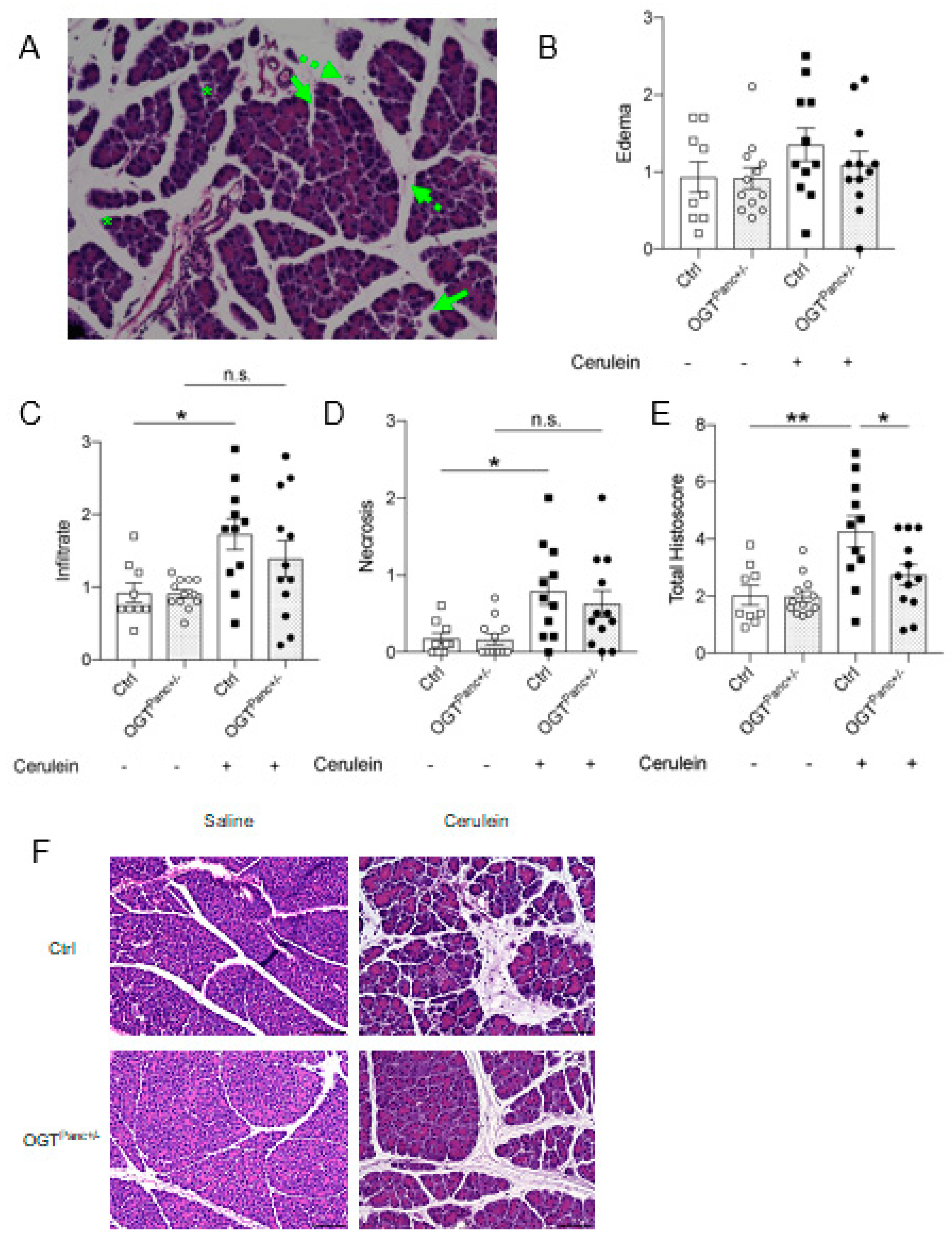 Biology 11 00347 g002