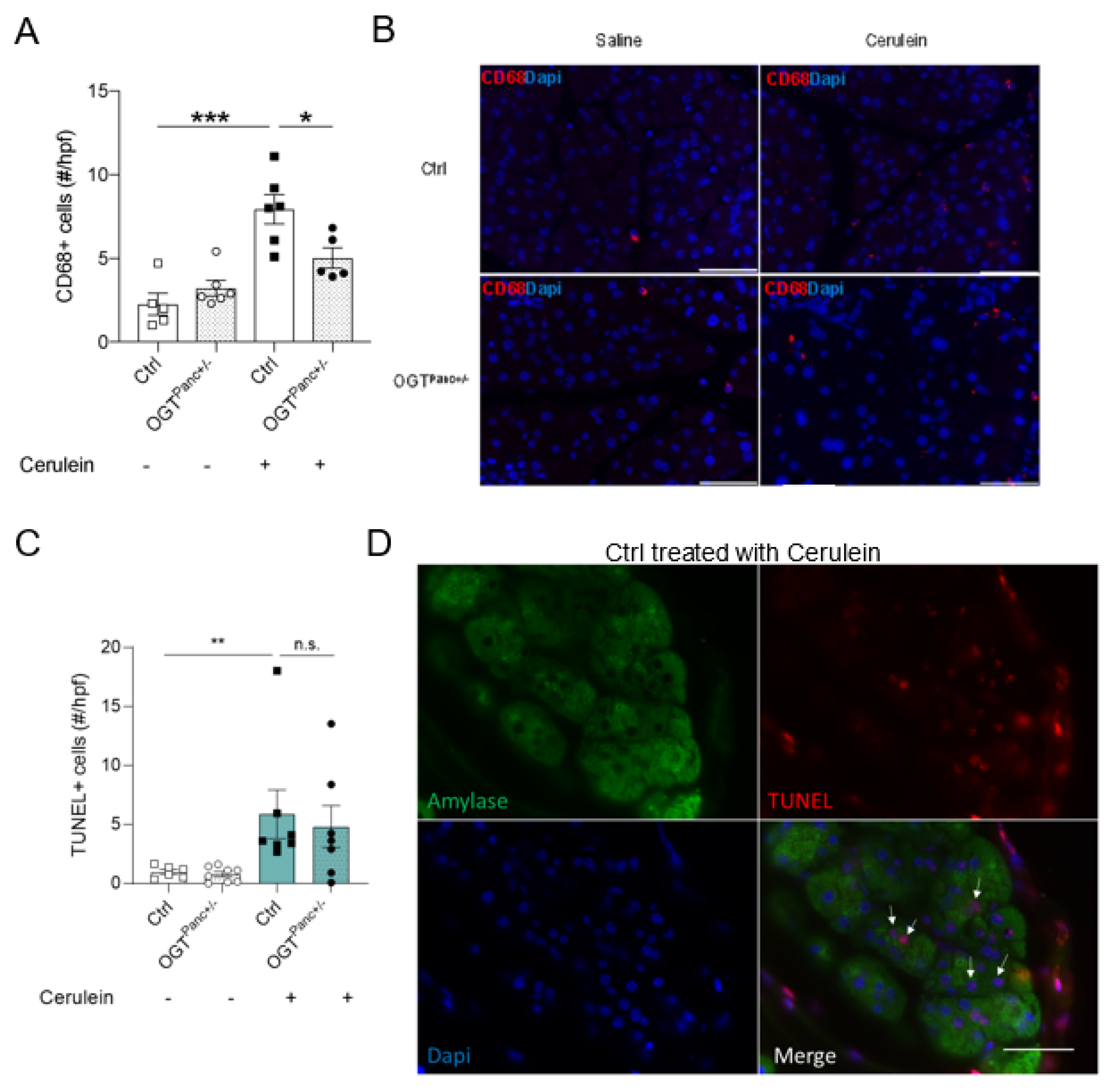 Biology 11 00347 g004