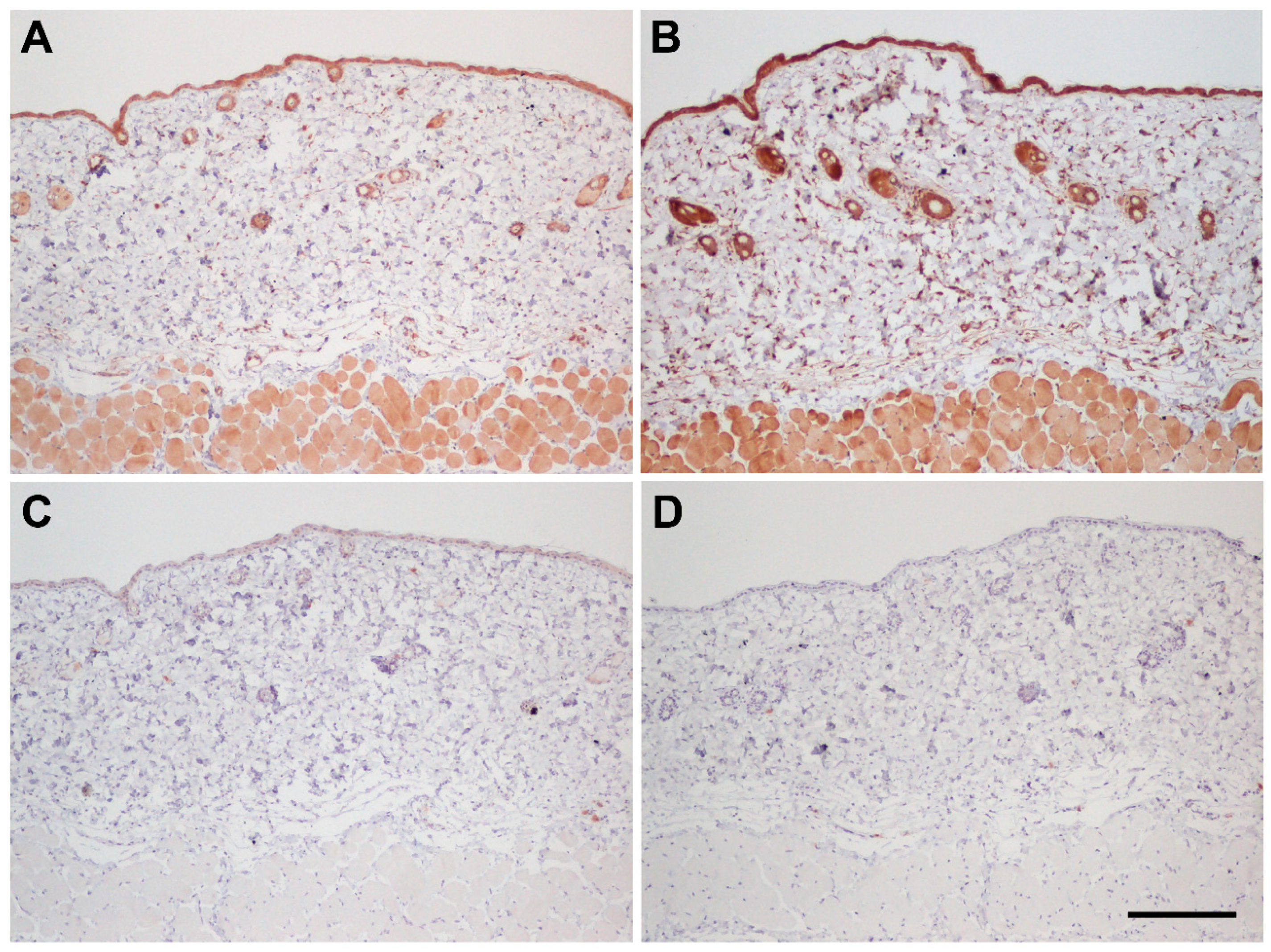 Biology 11 00358 g002 Biology 11 00358 g002