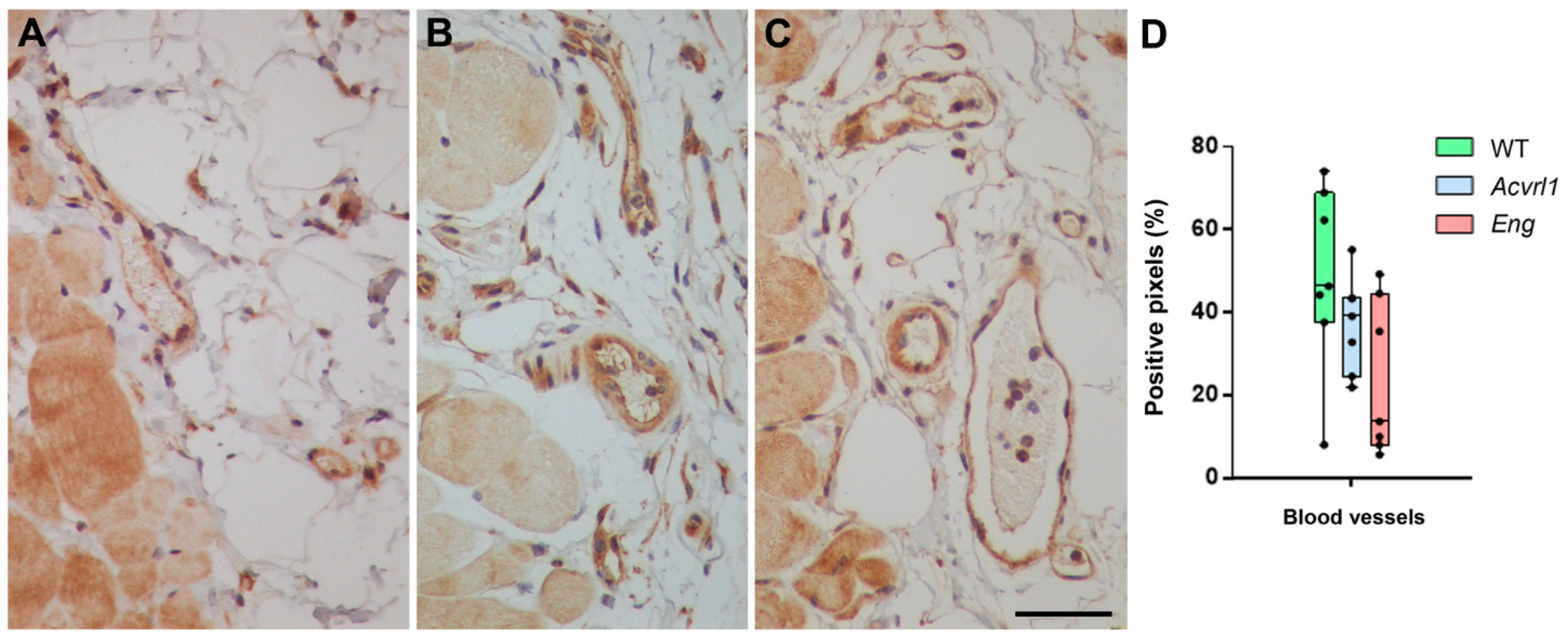 Biology 11 00358 g009 Biology 11 00358 g009