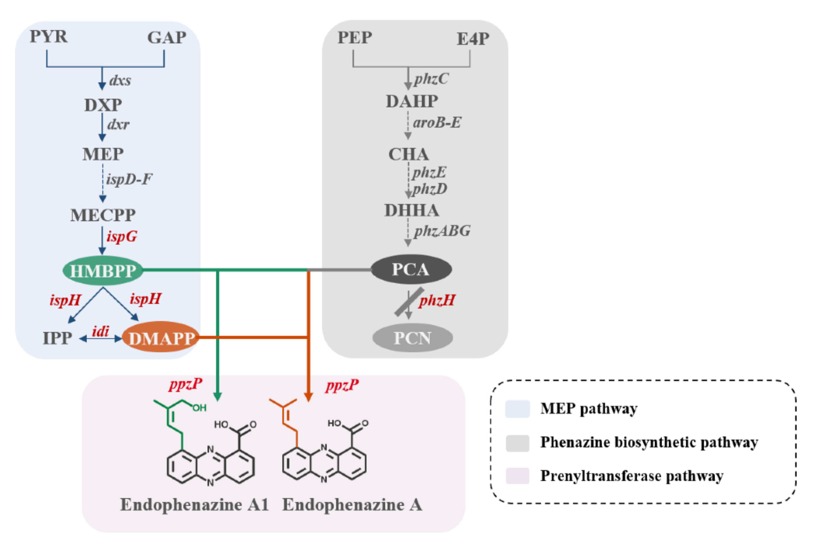 Biology 11 00363 g001