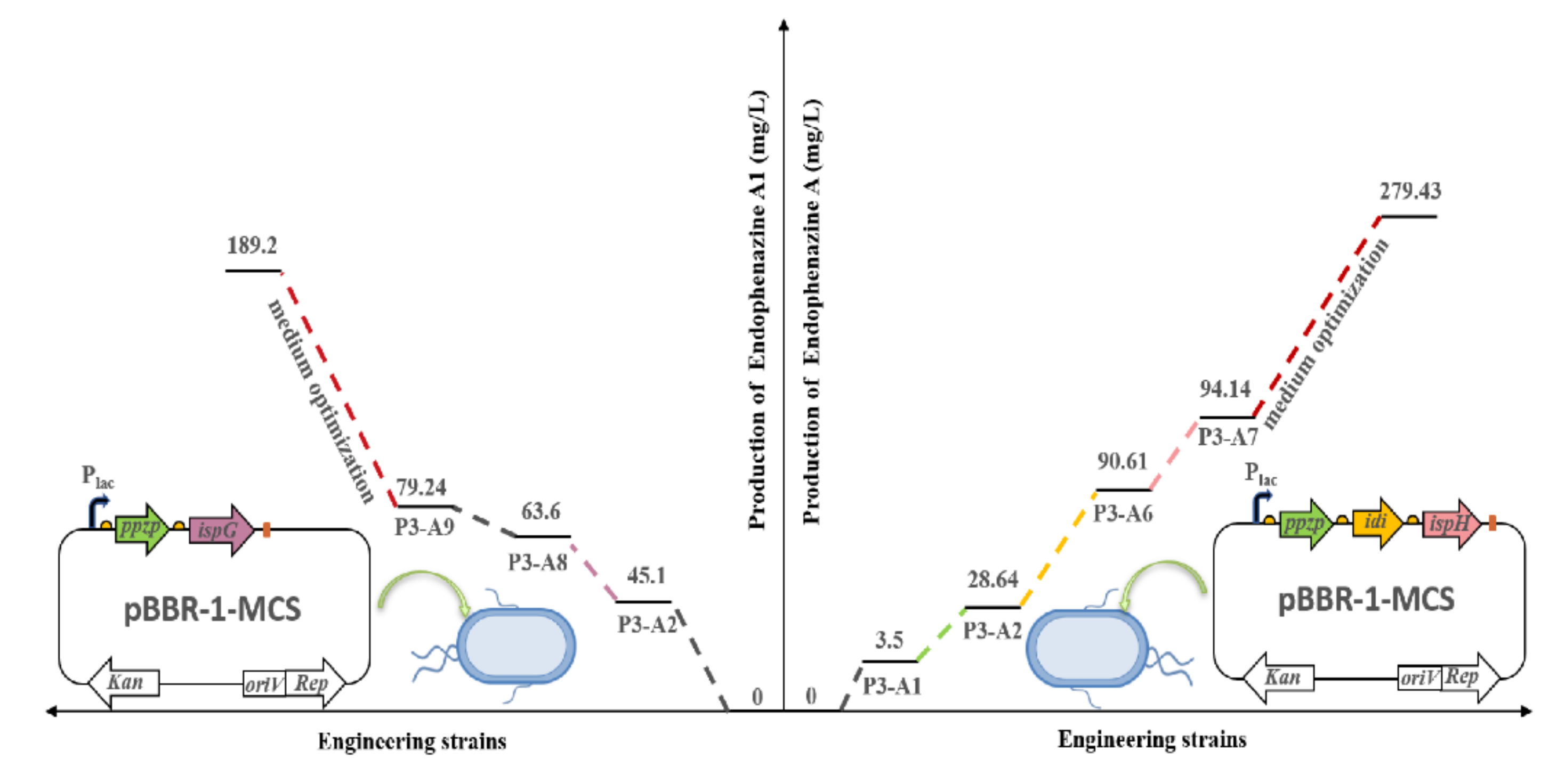 Biology 11 00363 g007