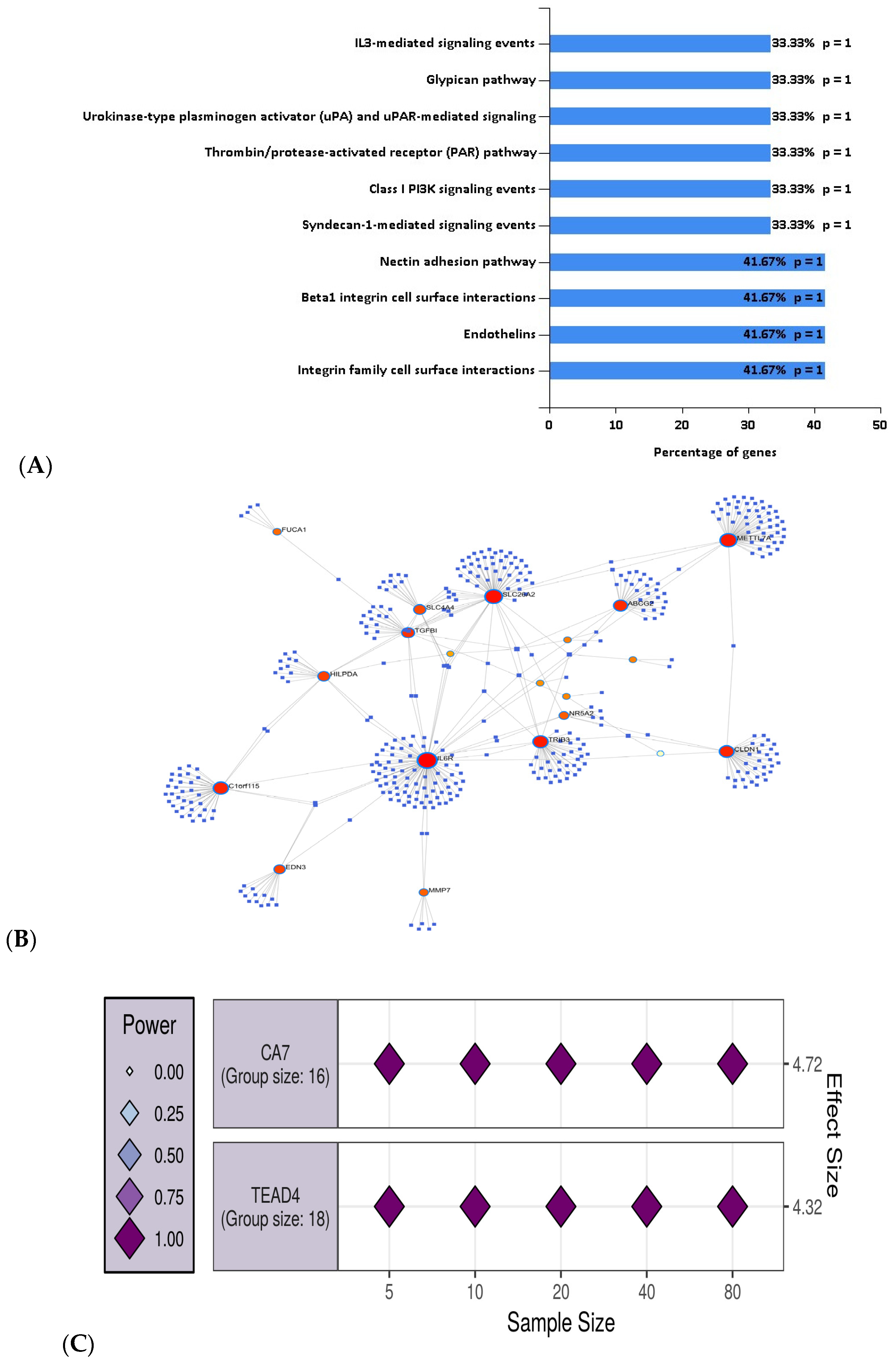 Biology 11 00365 g005