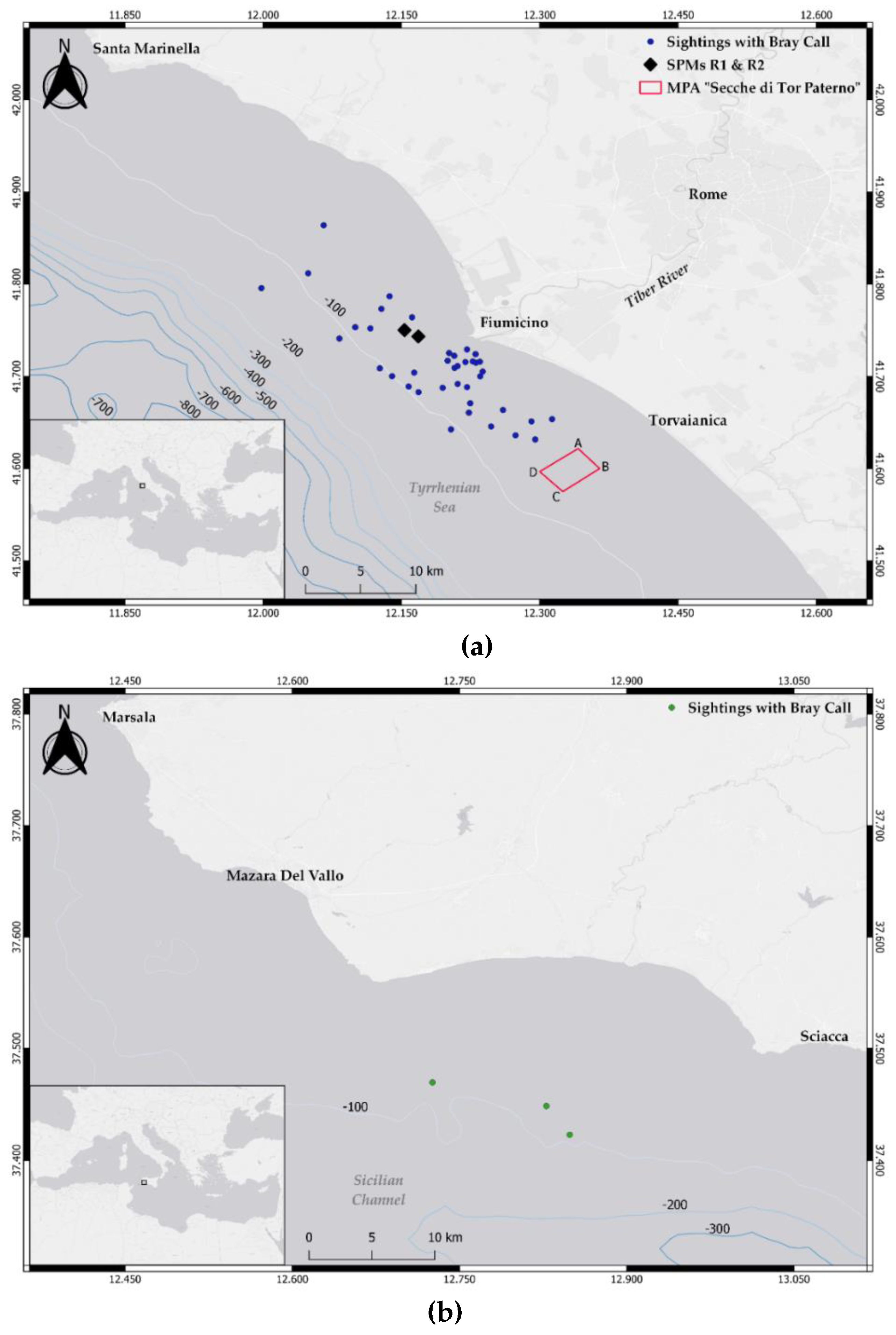 Biology 11 00367 g001