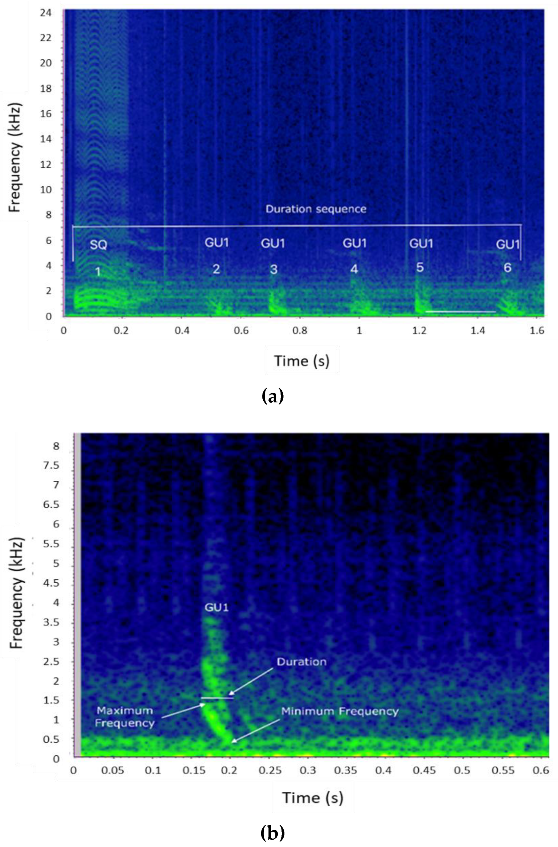 Biology 11 00367 g002