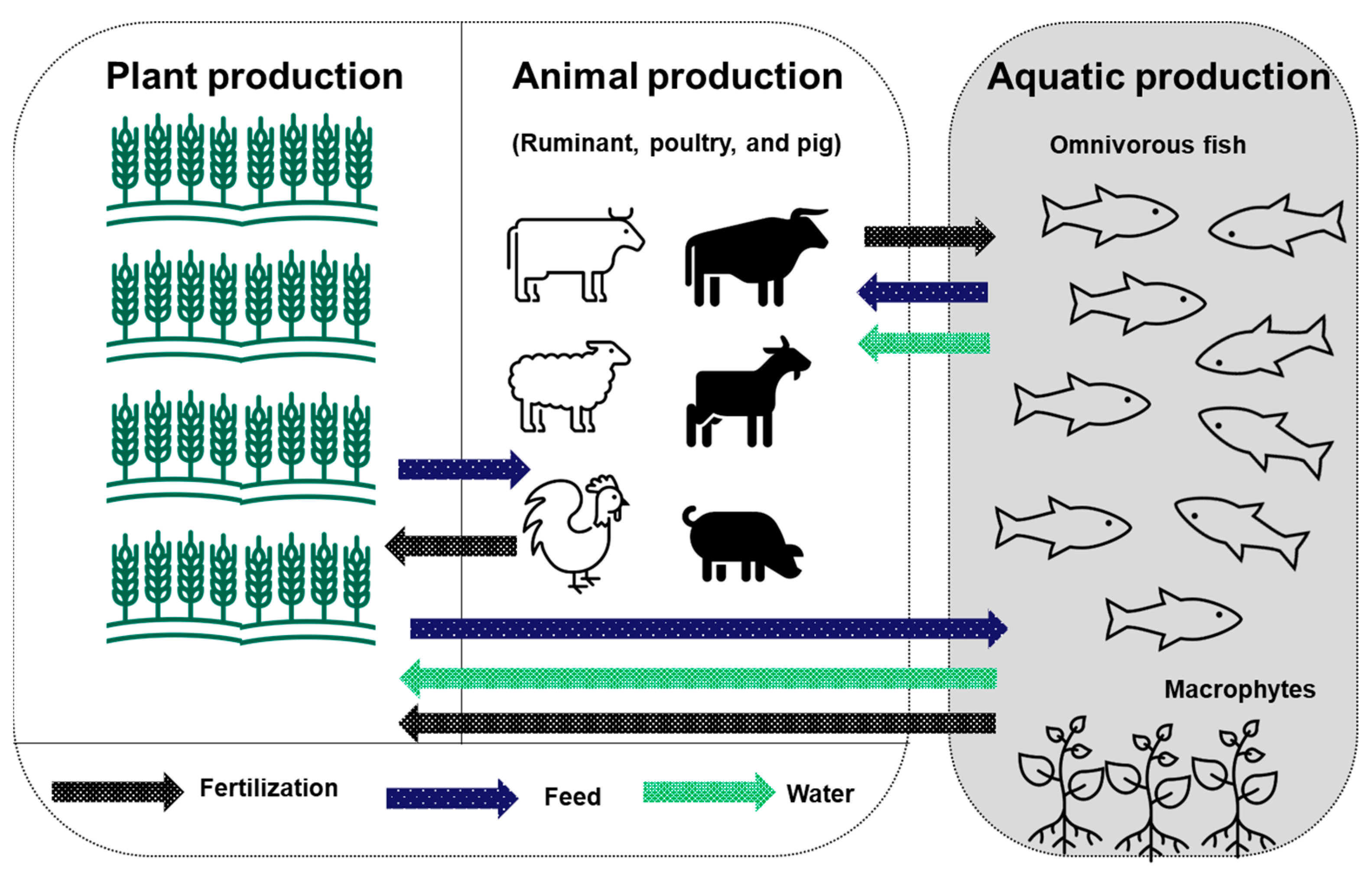 Biology 11 00368 g003