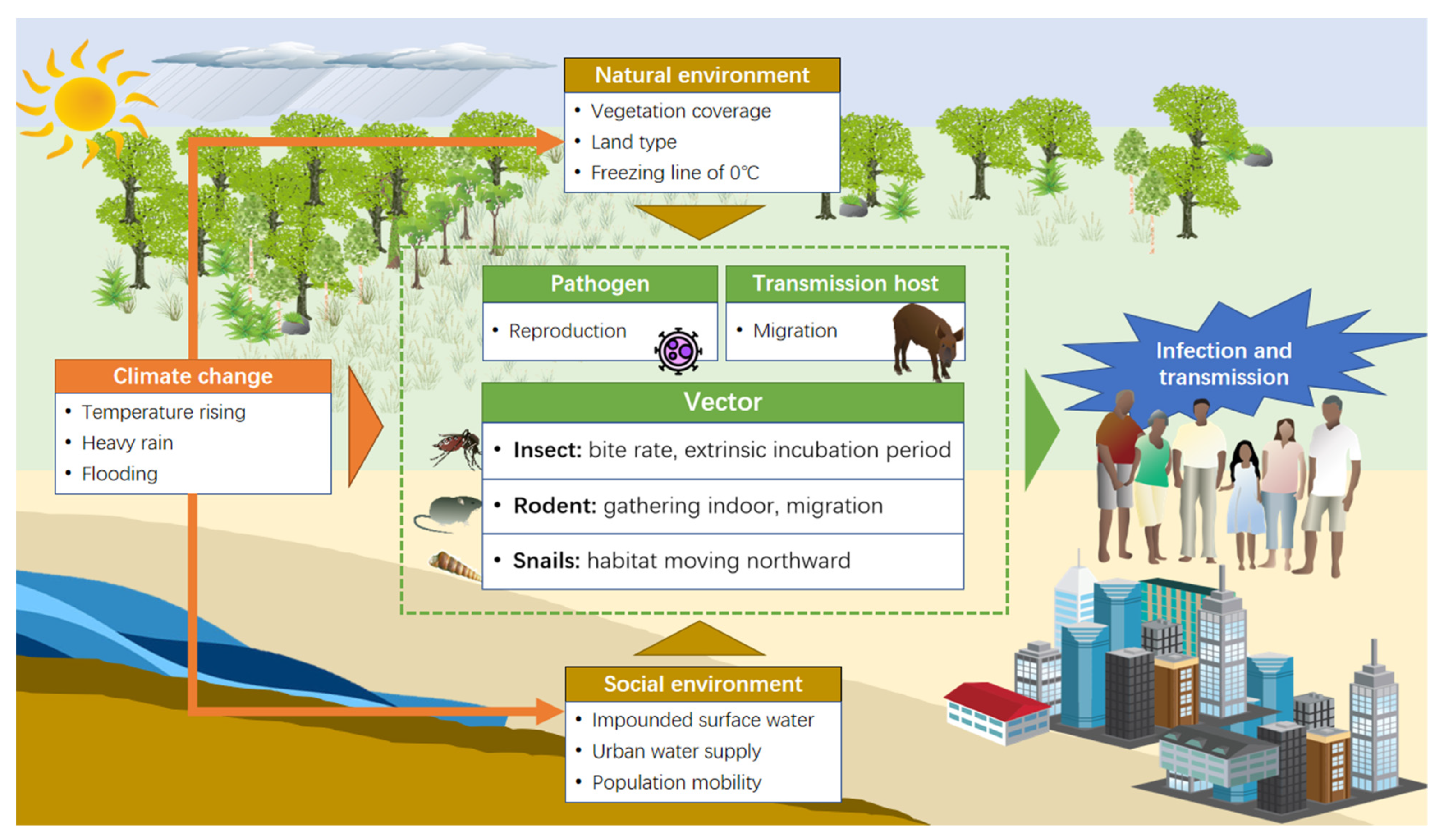 Biology 11 00370 g003 Biology 11 00370 g003