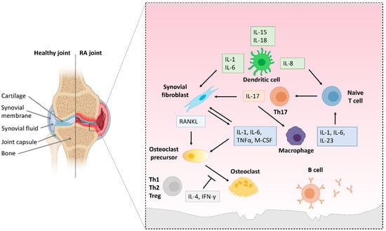Biology 11 00372 g006