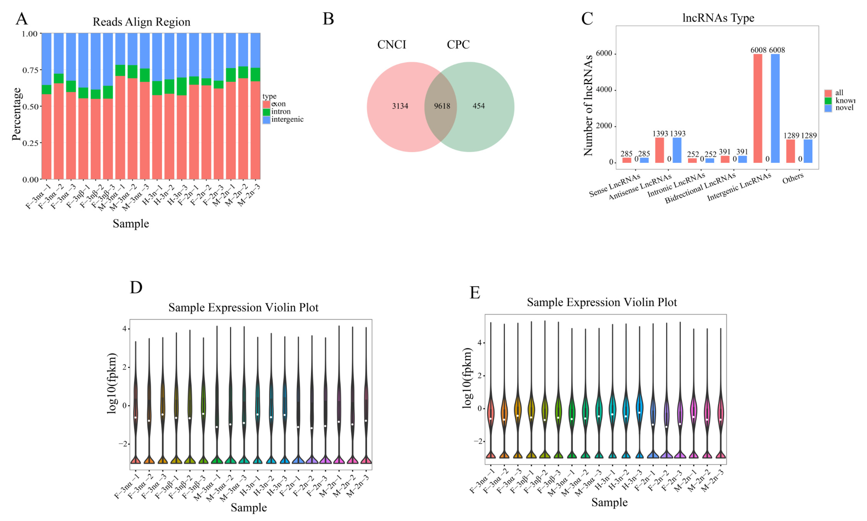 Biology 11 00378 g001