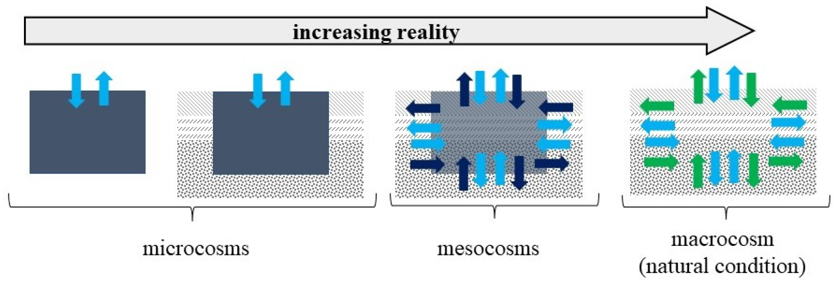 Biology 11 00386 g001