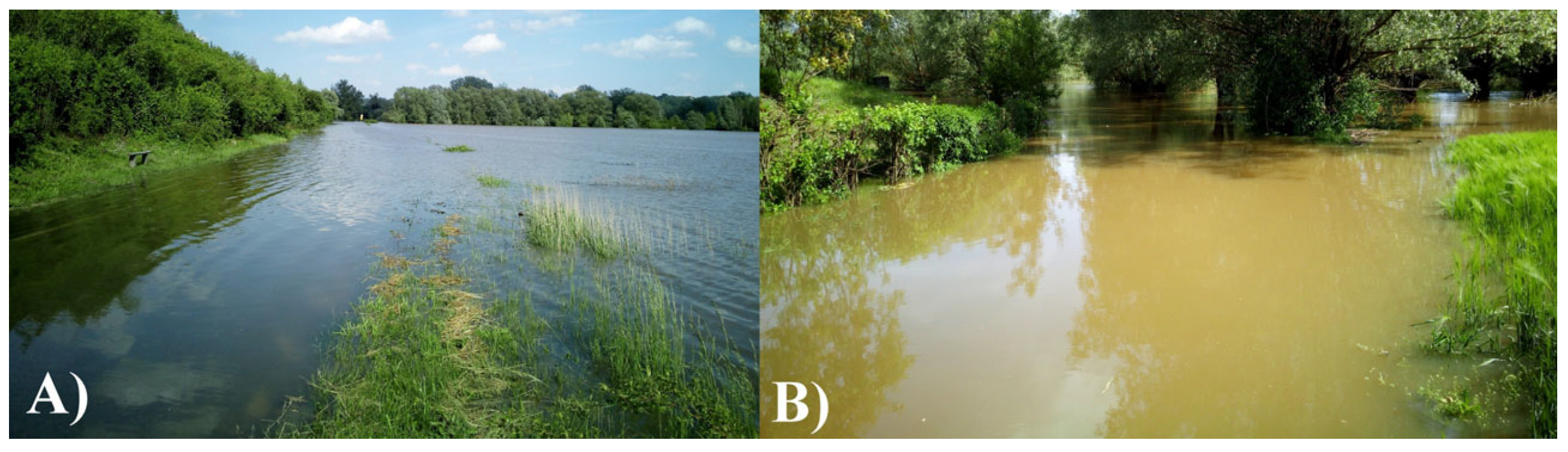 Biology 11 00386 g003