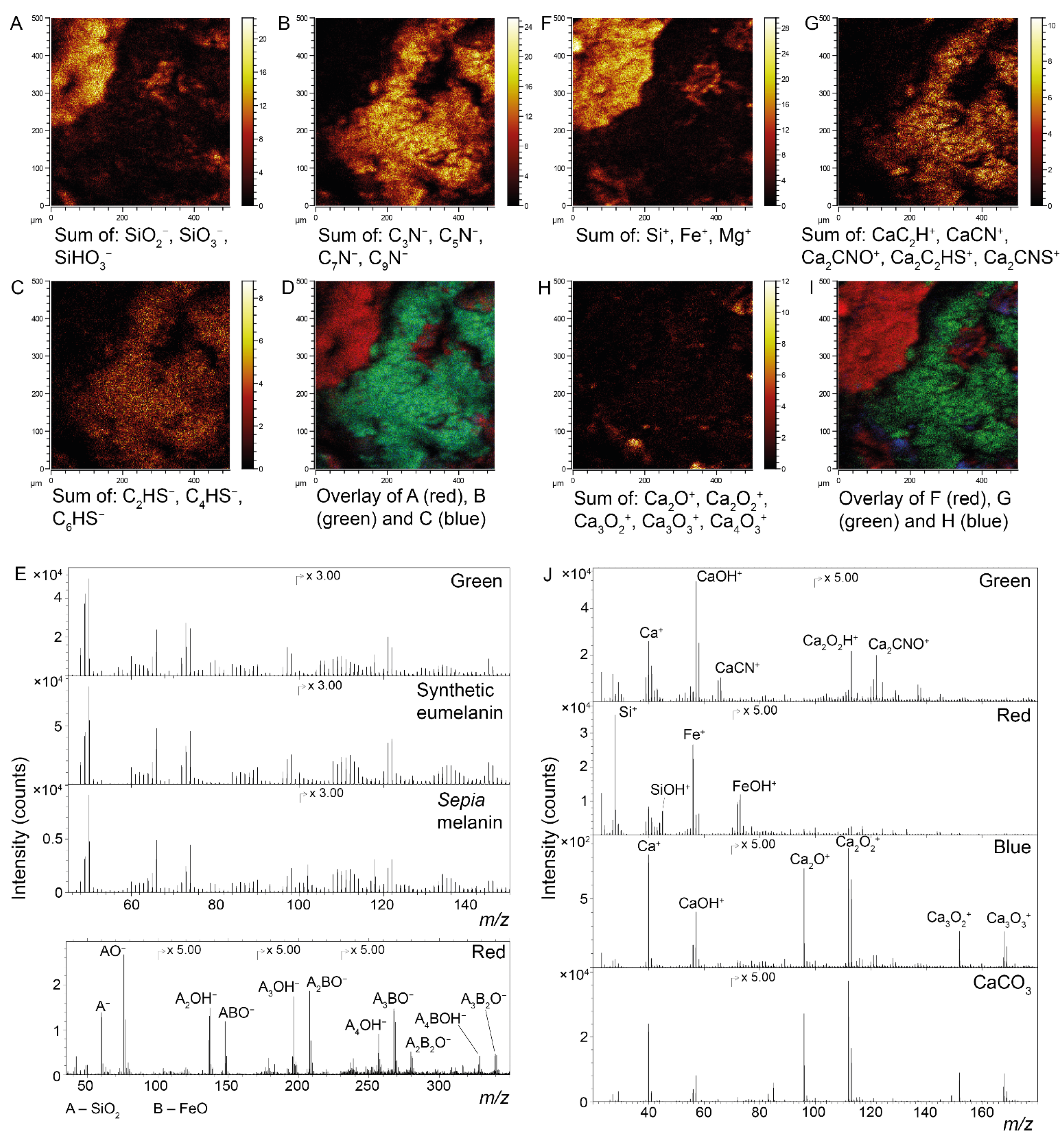 Biology 11 00395 g003 Biology 11 00395 g003