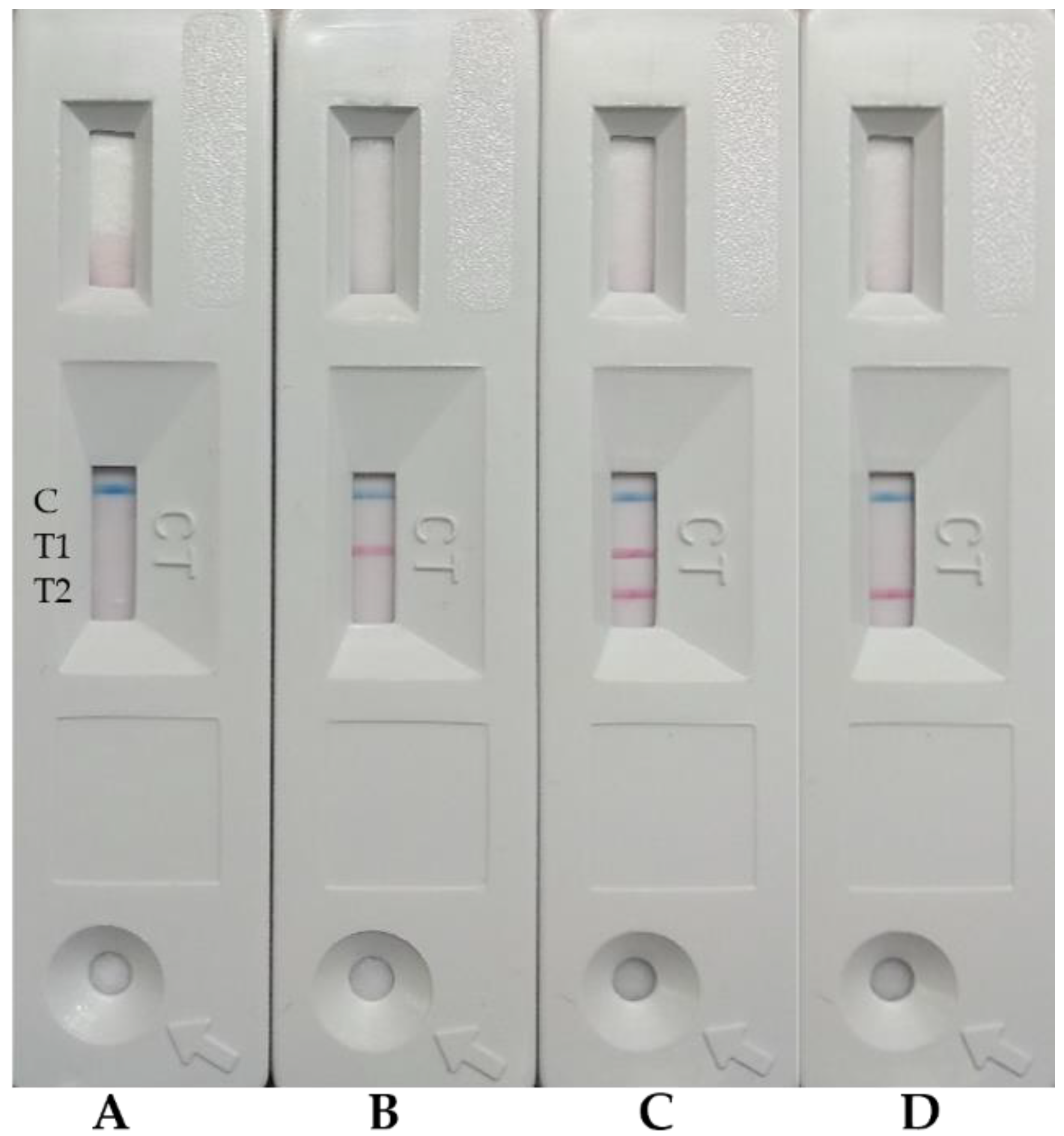 Biology 11 00401 g002