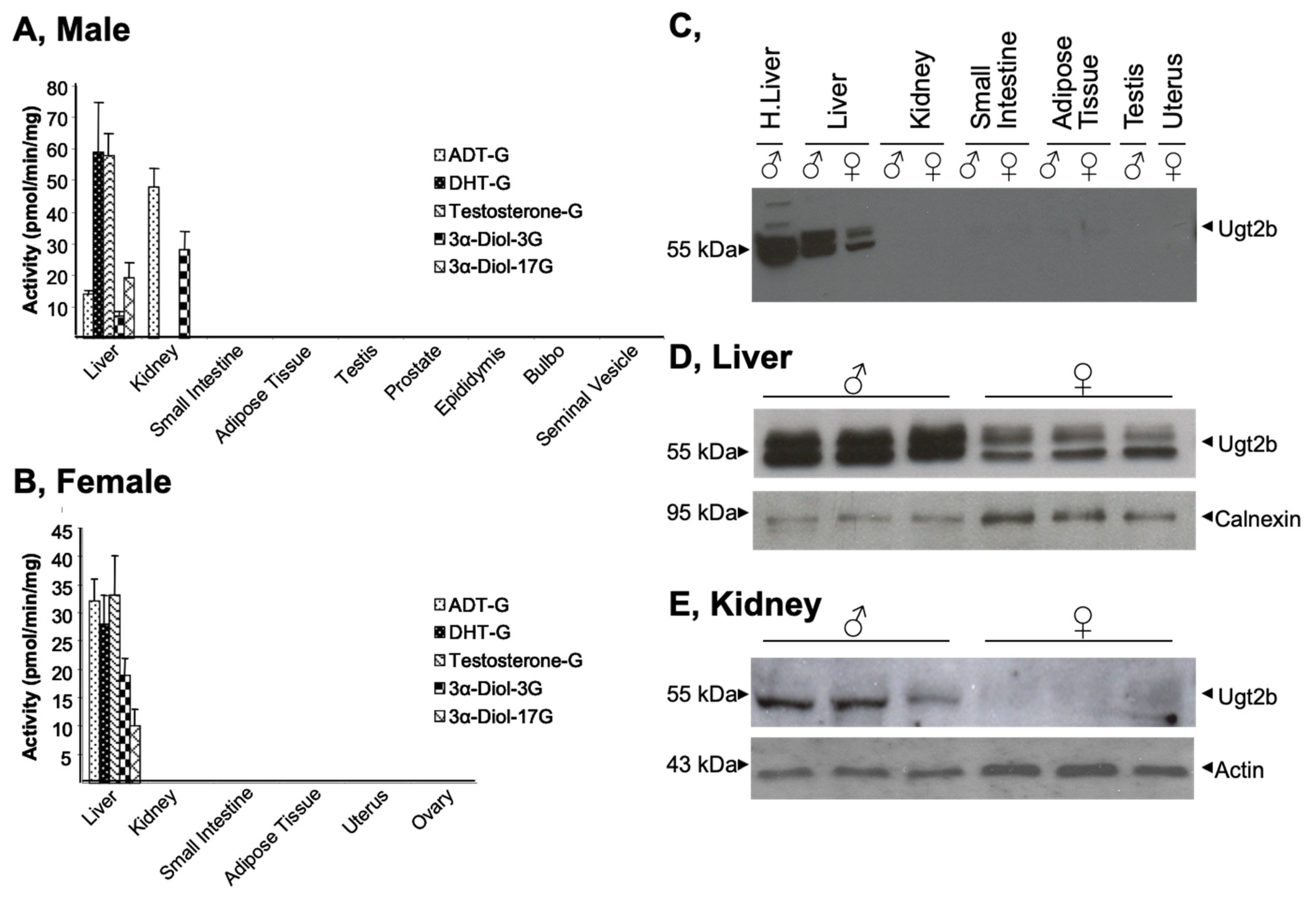 Biology 11 00403 g001 Biology 11 00403 g001