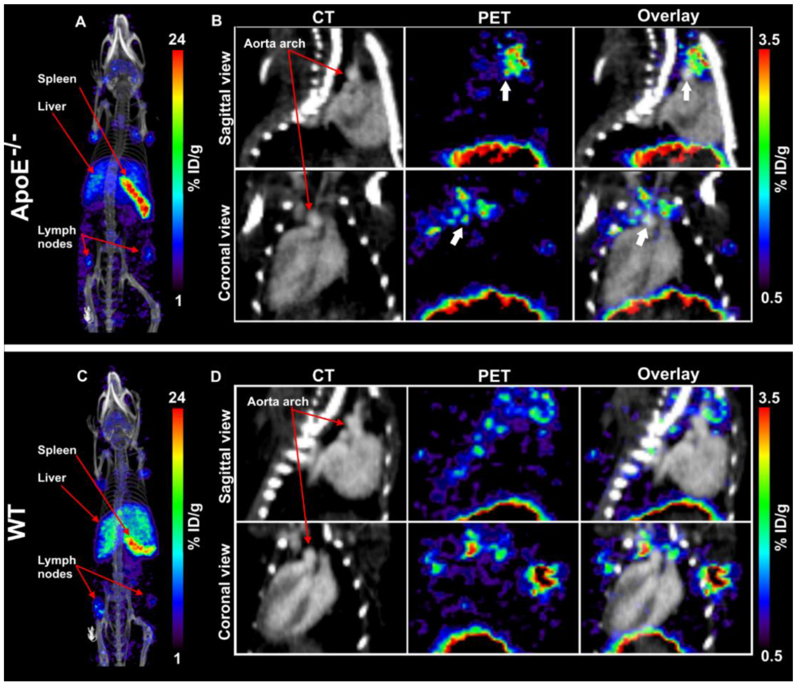 Biology 11 00408 g002