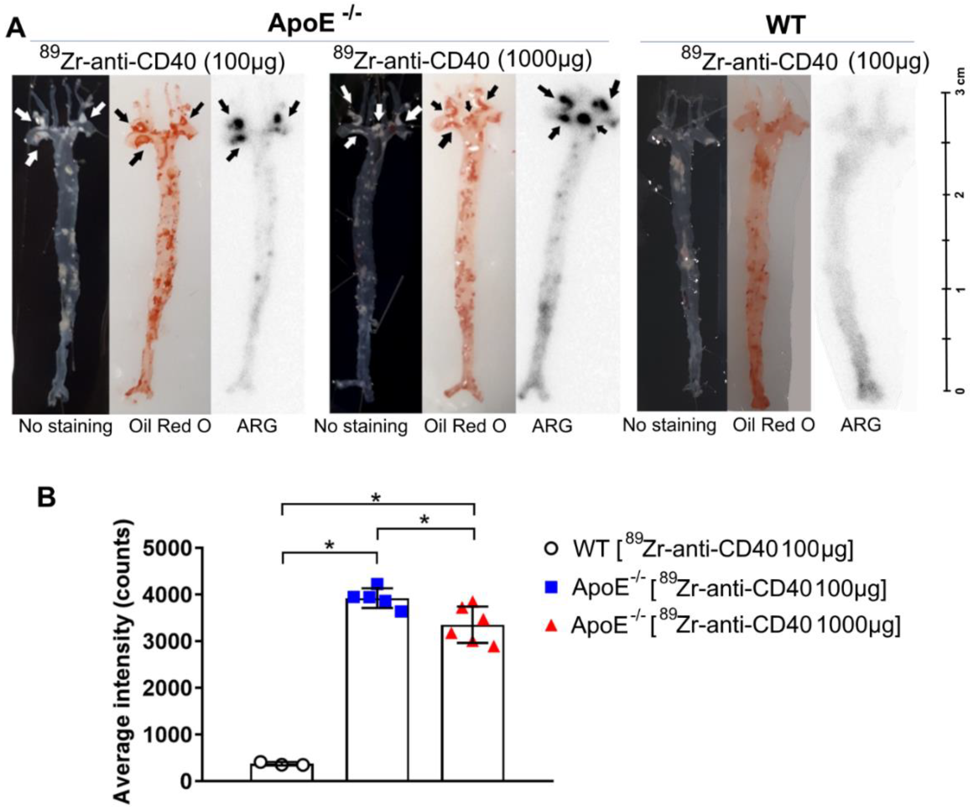 Biology 11 00408 g005