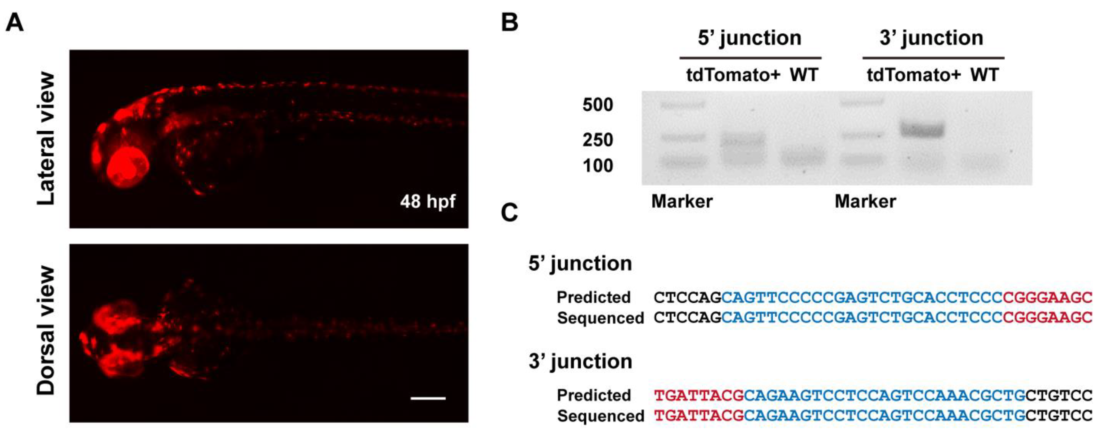 Biology 11 00411 g002