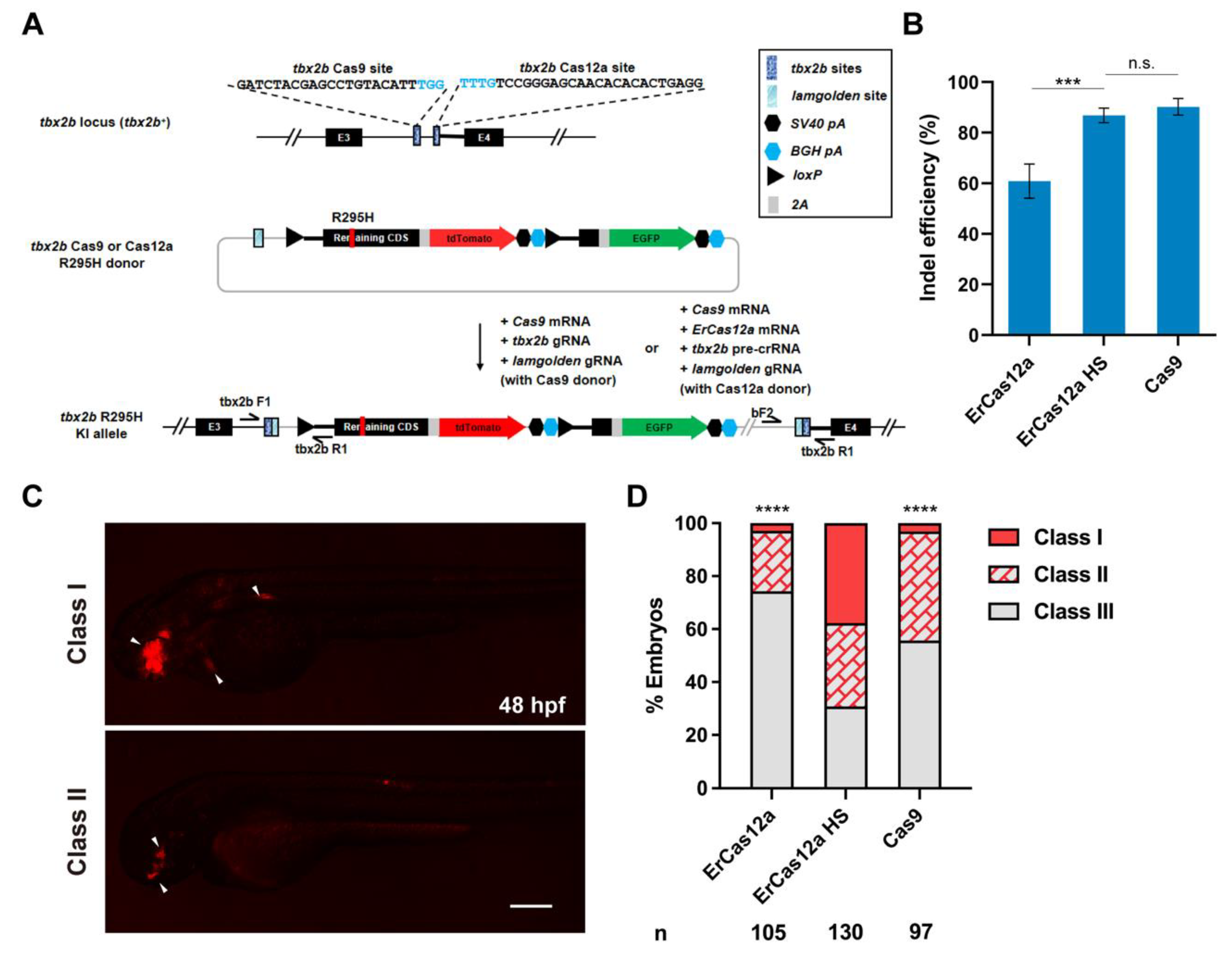 Biology 11 00411 g003