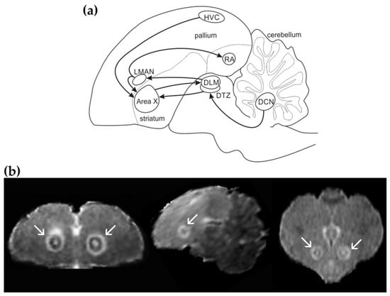 Biology 11 00425 g001