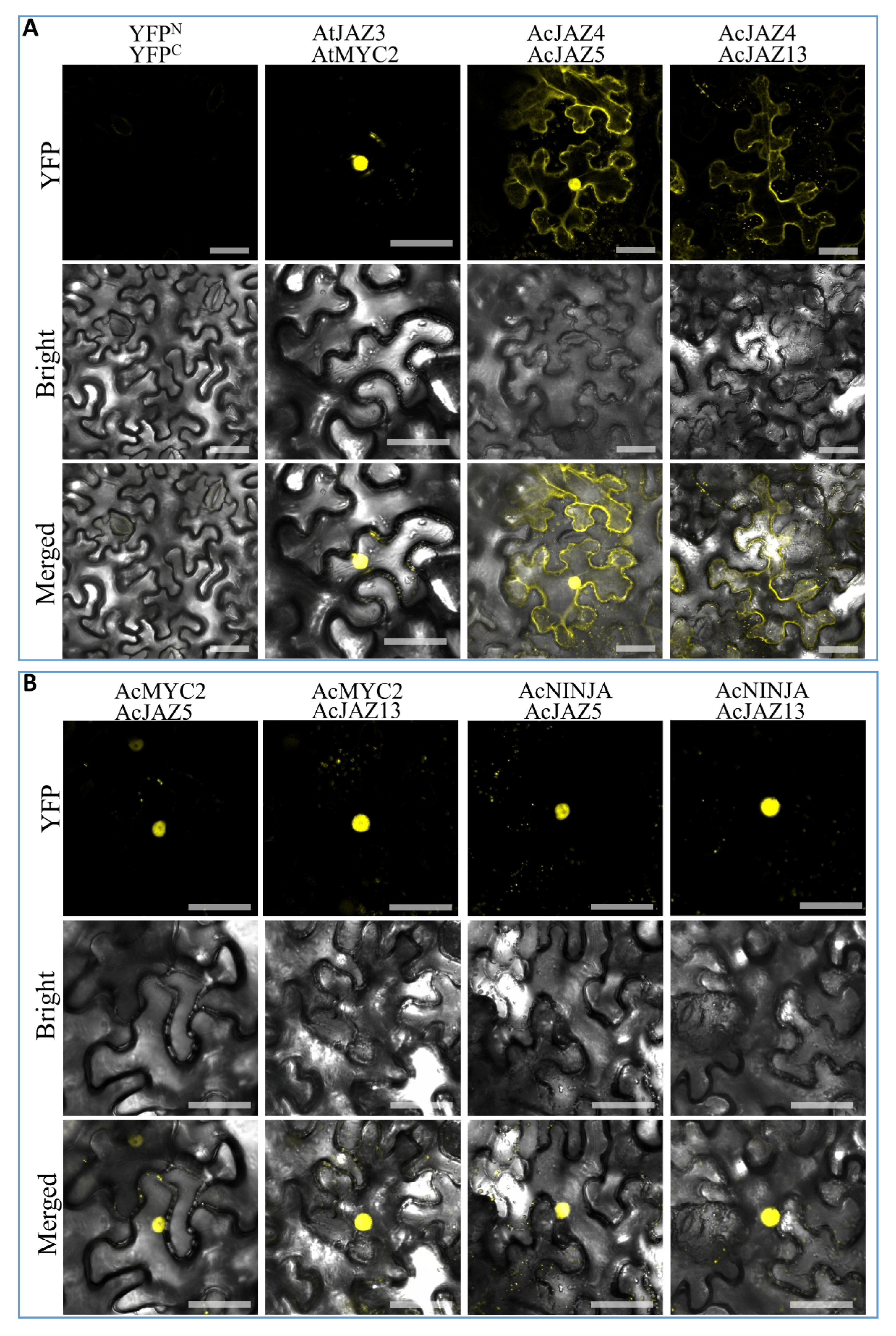 Biology 11 00445 g006