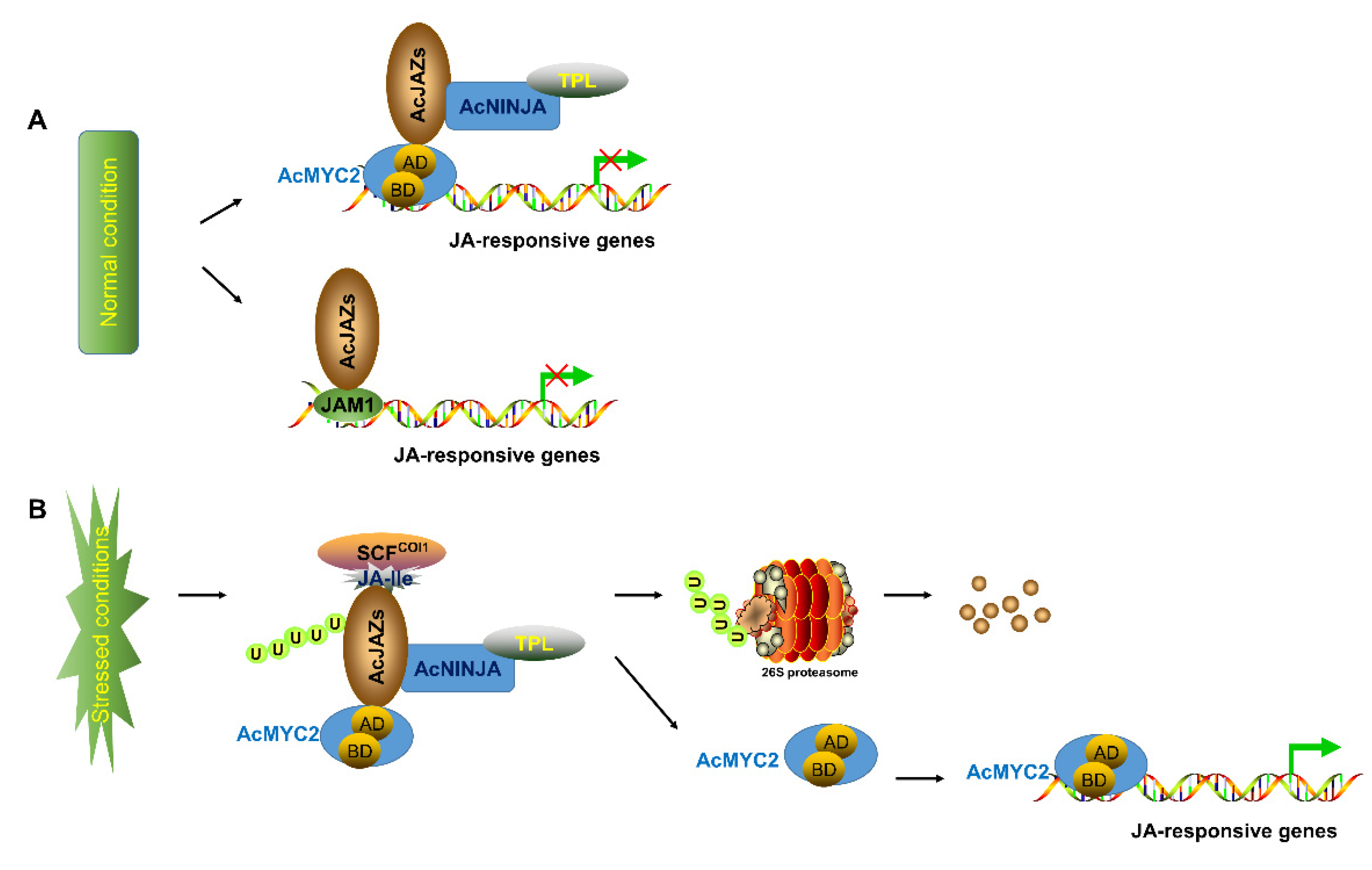 Biology 11 00445 g007
